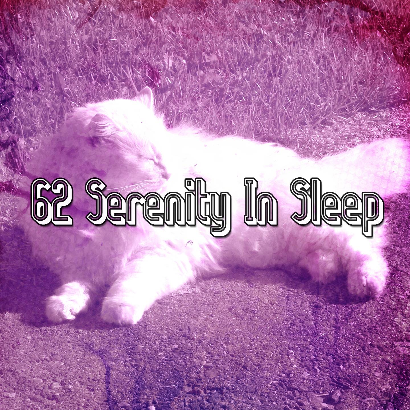 62 Serenity In Sleep