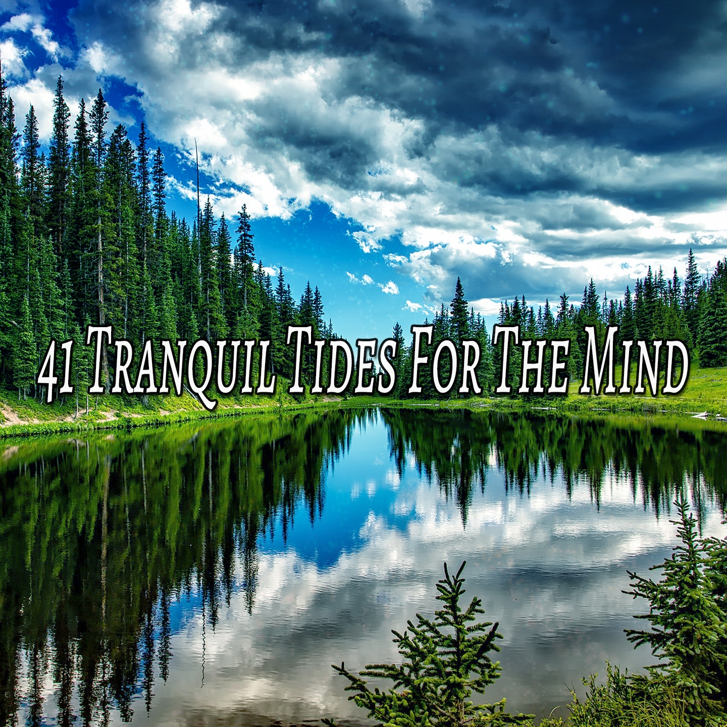 41 Tranquil Tides For The Mind