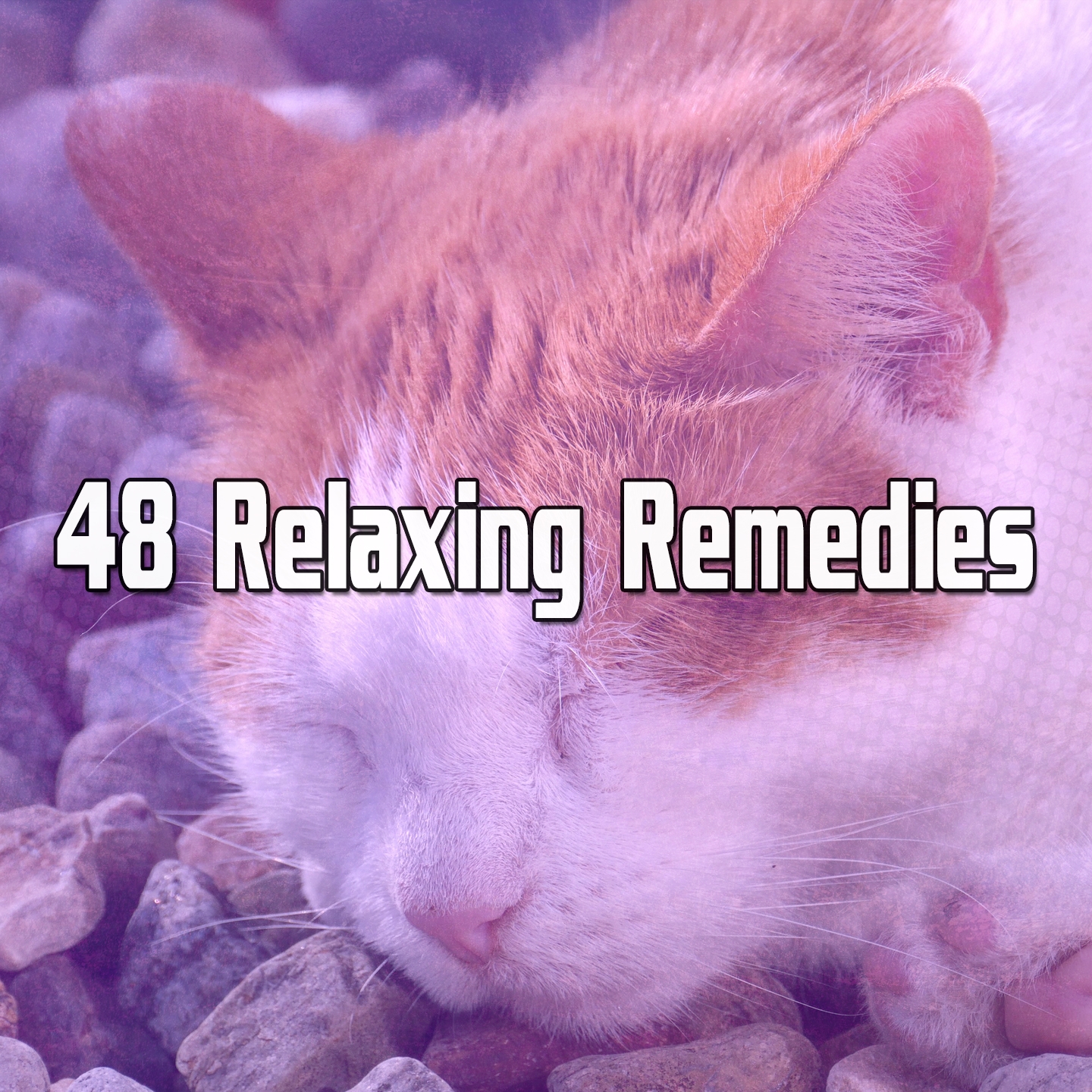 48 Relaxing Remedies
