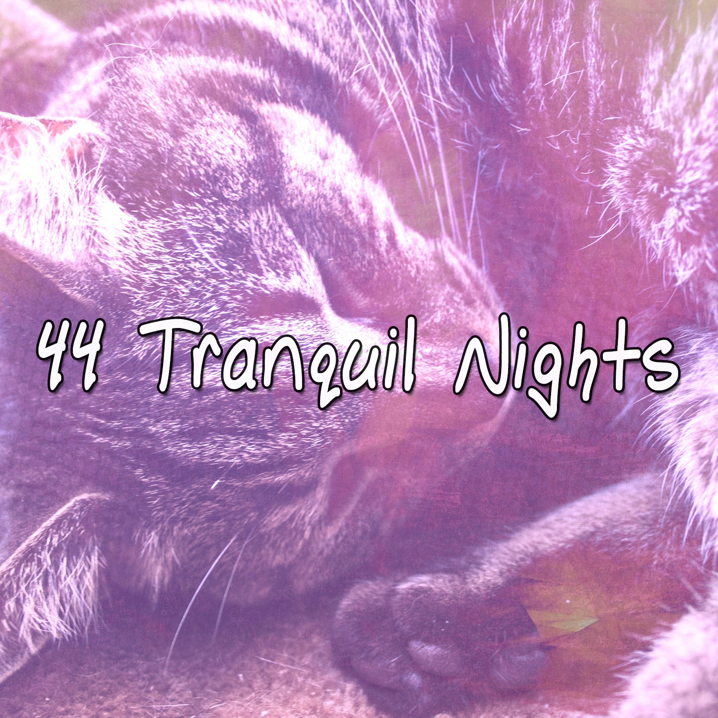 44 Tranquil Nights