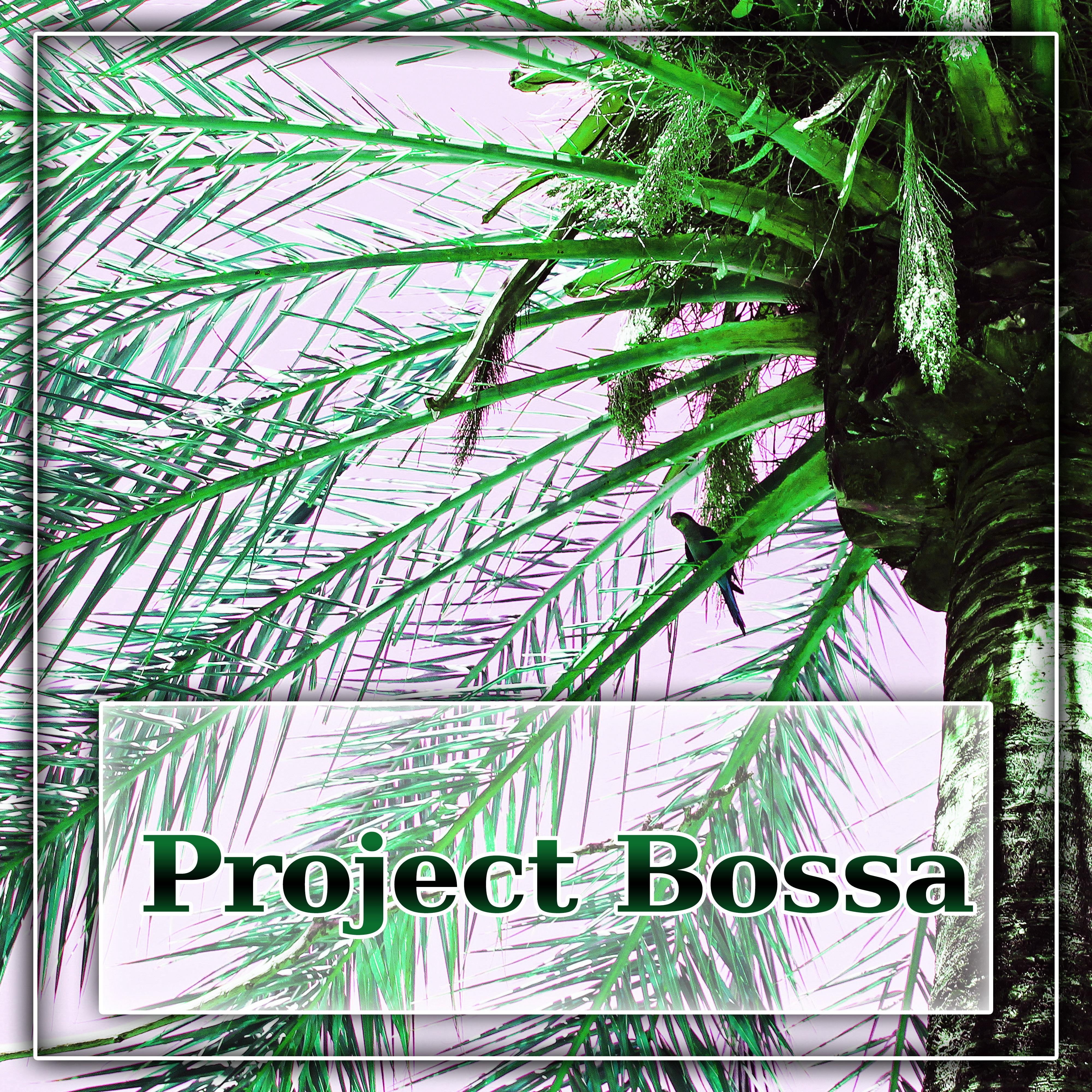 Project Bossa - Lounge After Hours, Vintage Chill, Tropical House