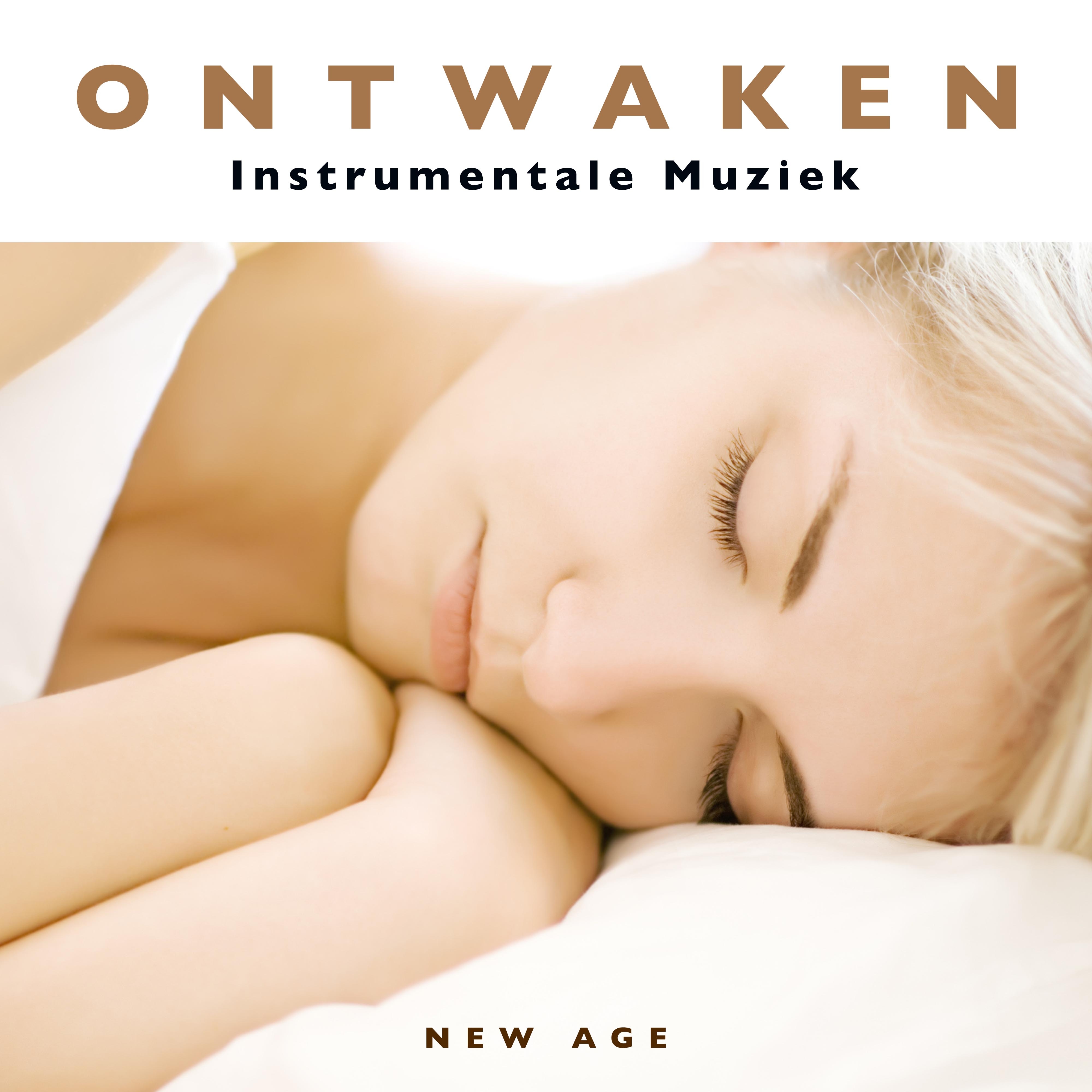 Ontwaken - Instrumentale Muziek