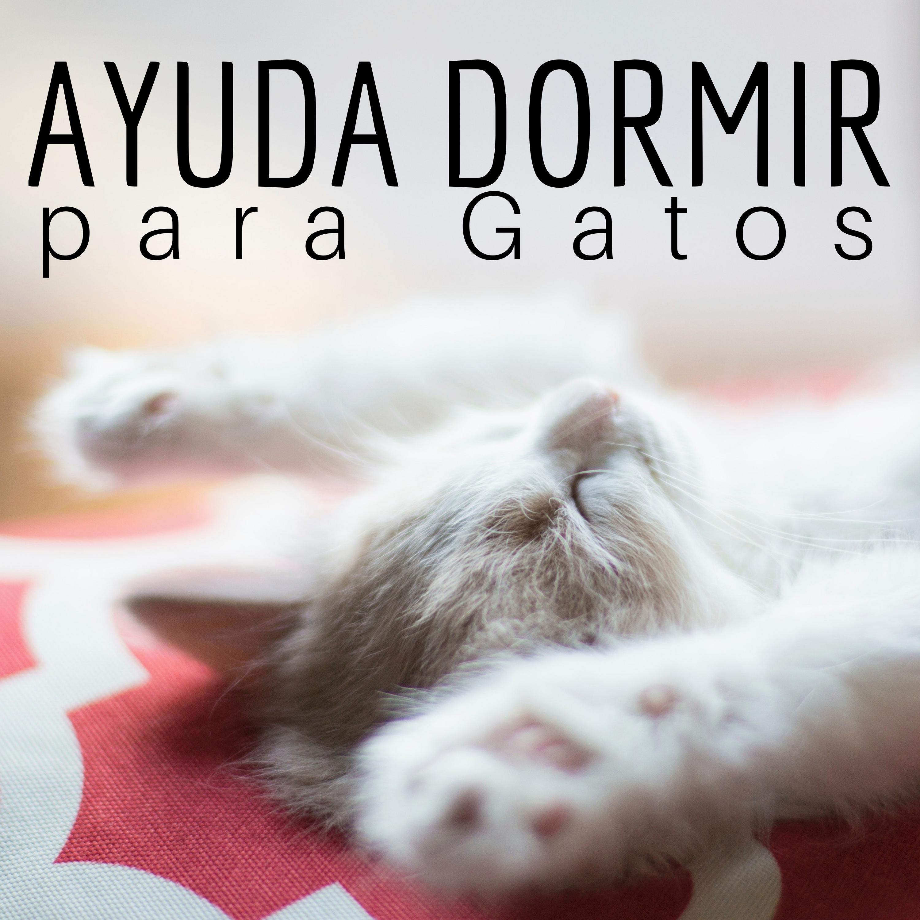 Ayuda Natural para Dormir