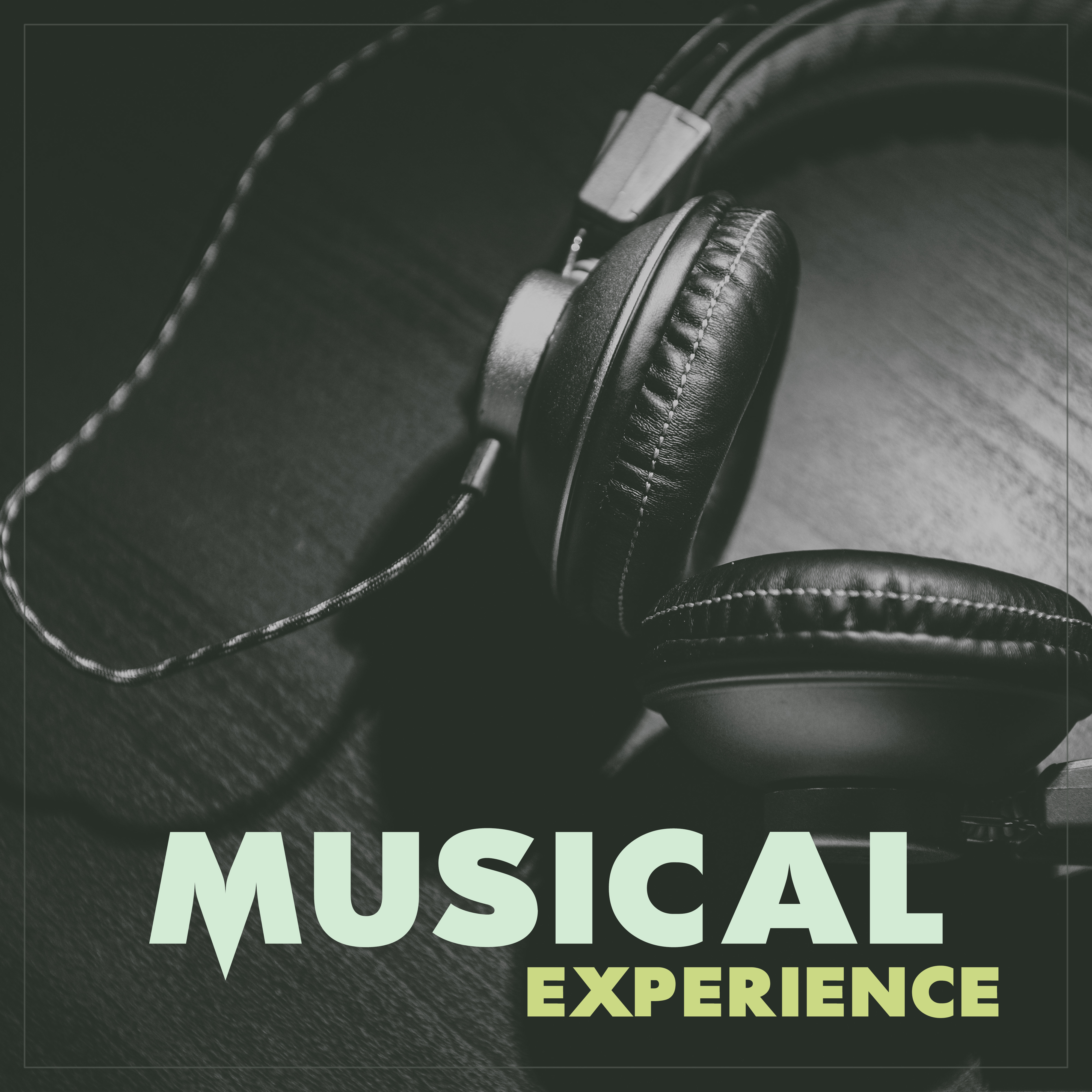 Musical Experience – Every Day, Something Interesting, Day by Day, Uncover Curiosity,  Tranquil Melodies