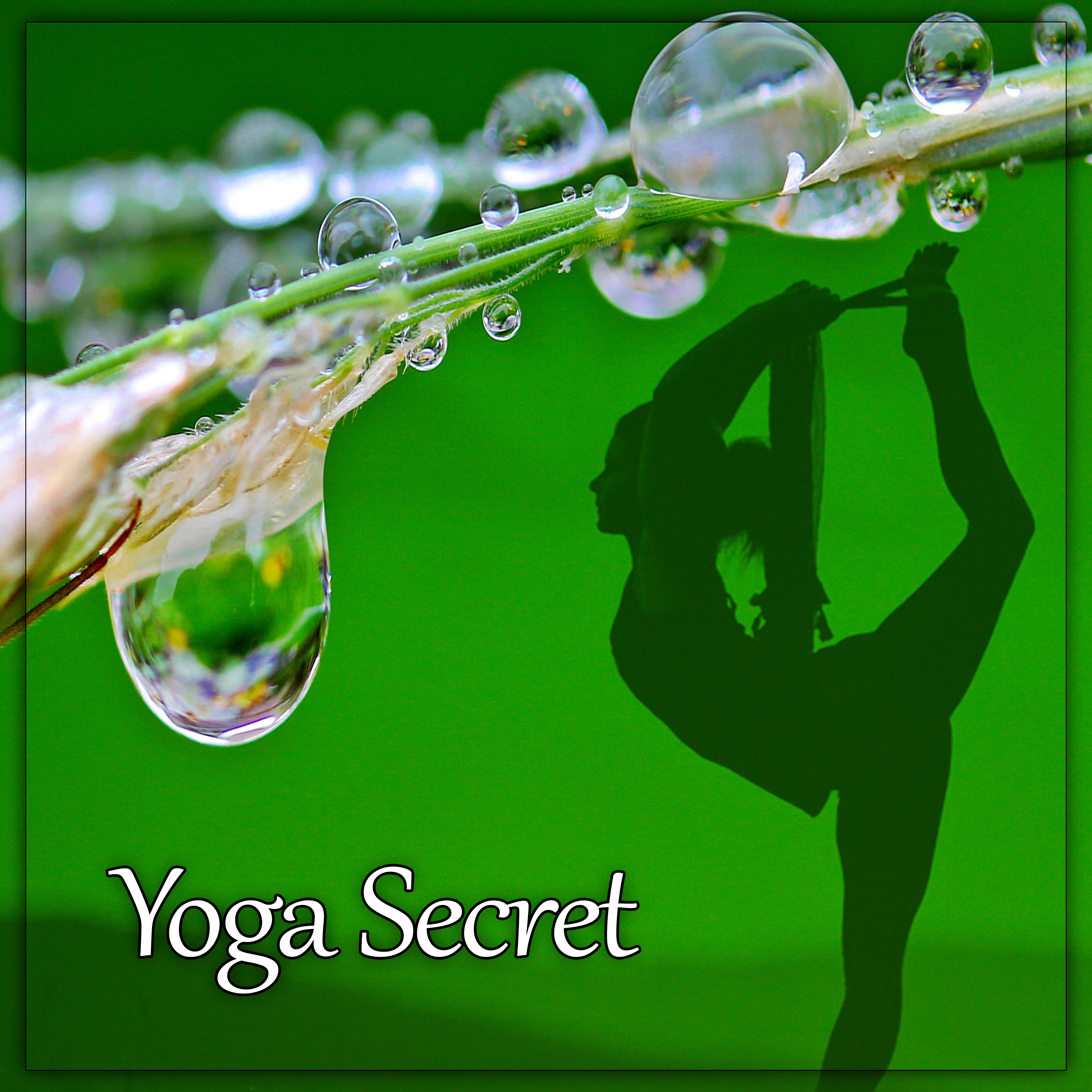 Yoga Secret – Briliant Sounds of Nature for Yoga Meditation, New Age, Yoga Music for Deep Meditation & Relax