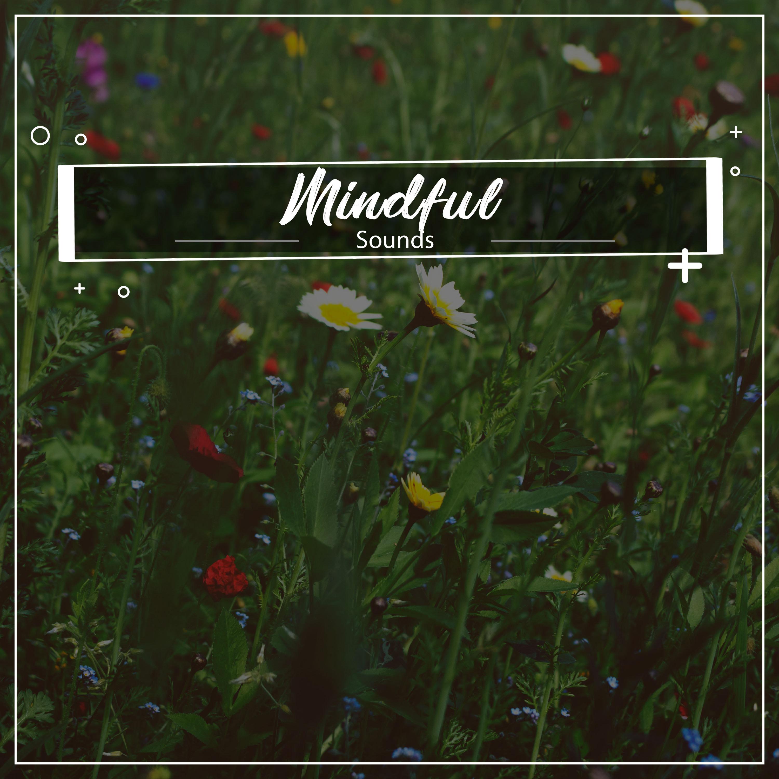 #1 Hour of Mindful Sounds for Asian Spa, Meditation & Yoga