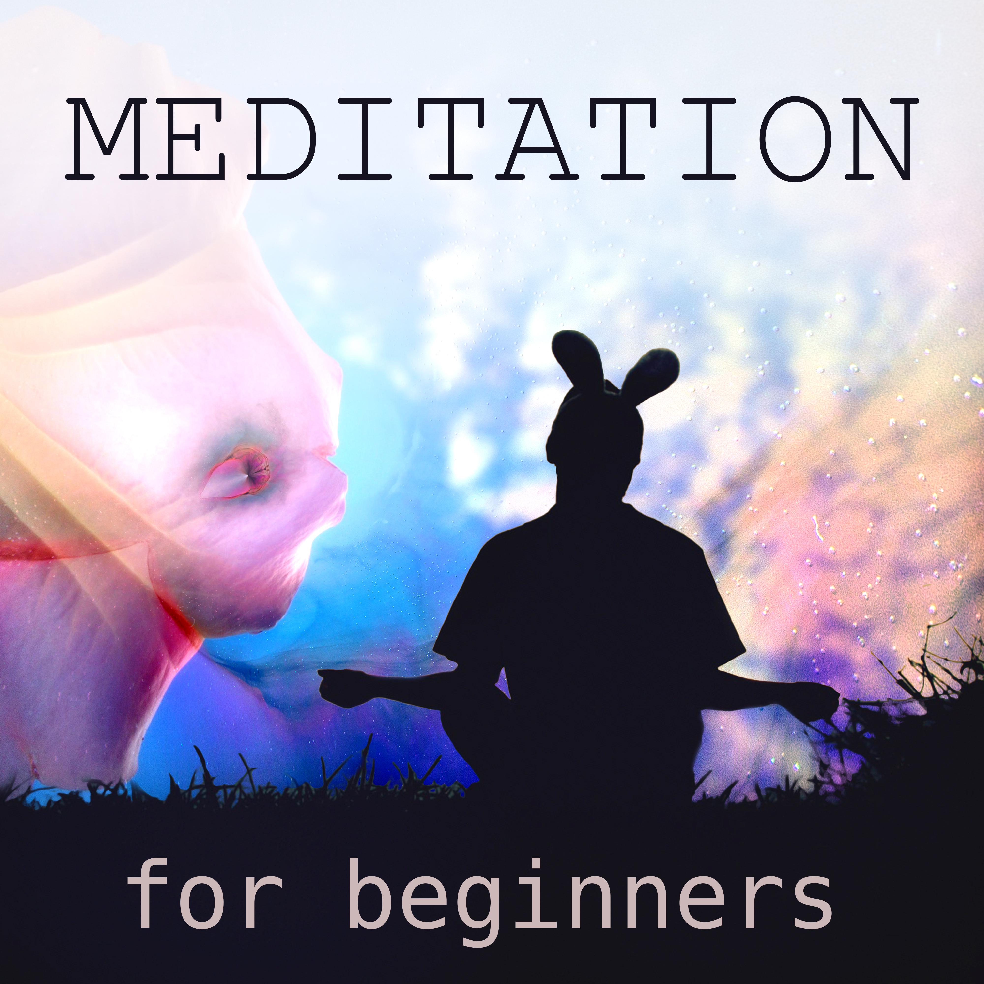 Meditation for Beginners - Peaceful Music with Nature Sounds, Meditation and Stress Relief, Sound Healing Meditation Music Therapy for Relaxation, Chakra Healing, First Steps Hypnosis