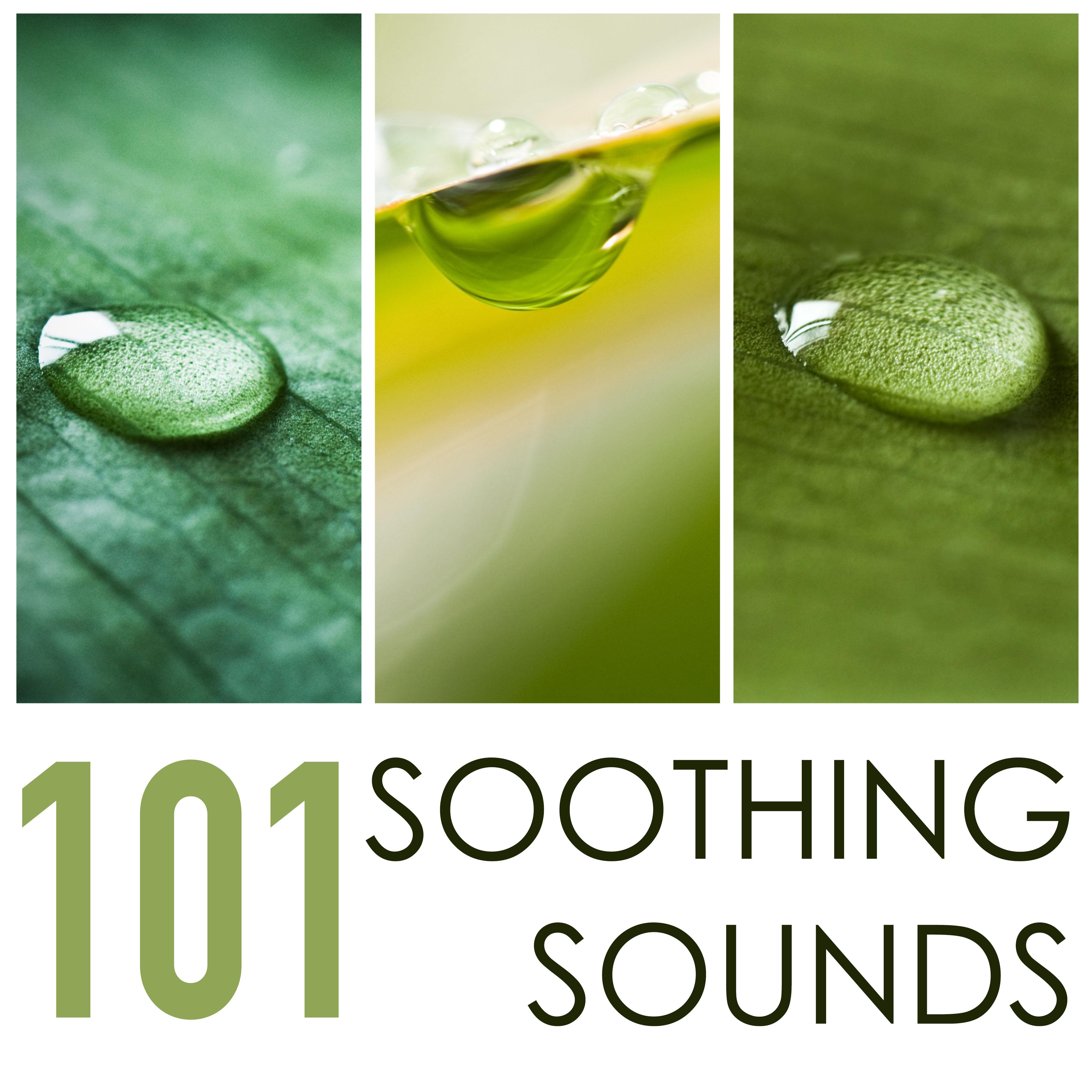 Soothing Sounds 101 - Healing Nature Music to Sleep Well Through the Night