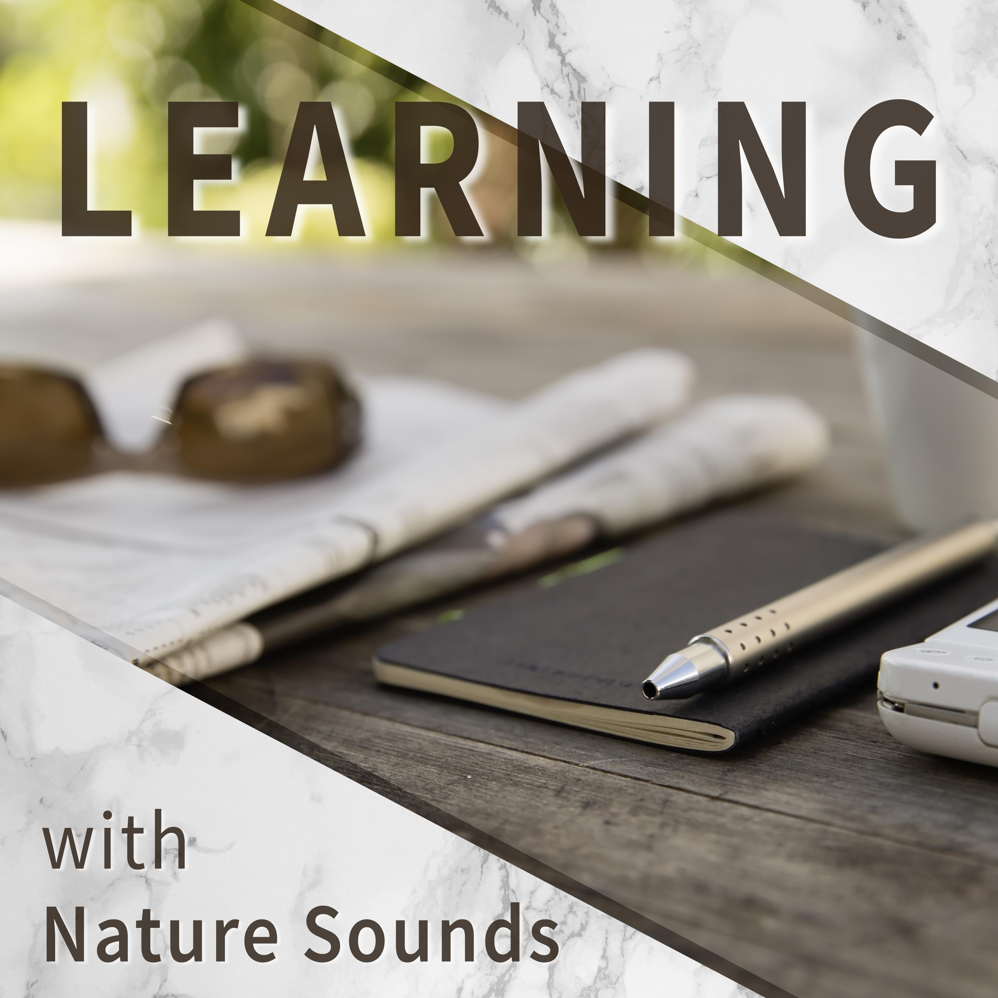 Learning with Nature Sounds – Soft Sounds of Nature, Calming Sounds to Relax, Learning Music