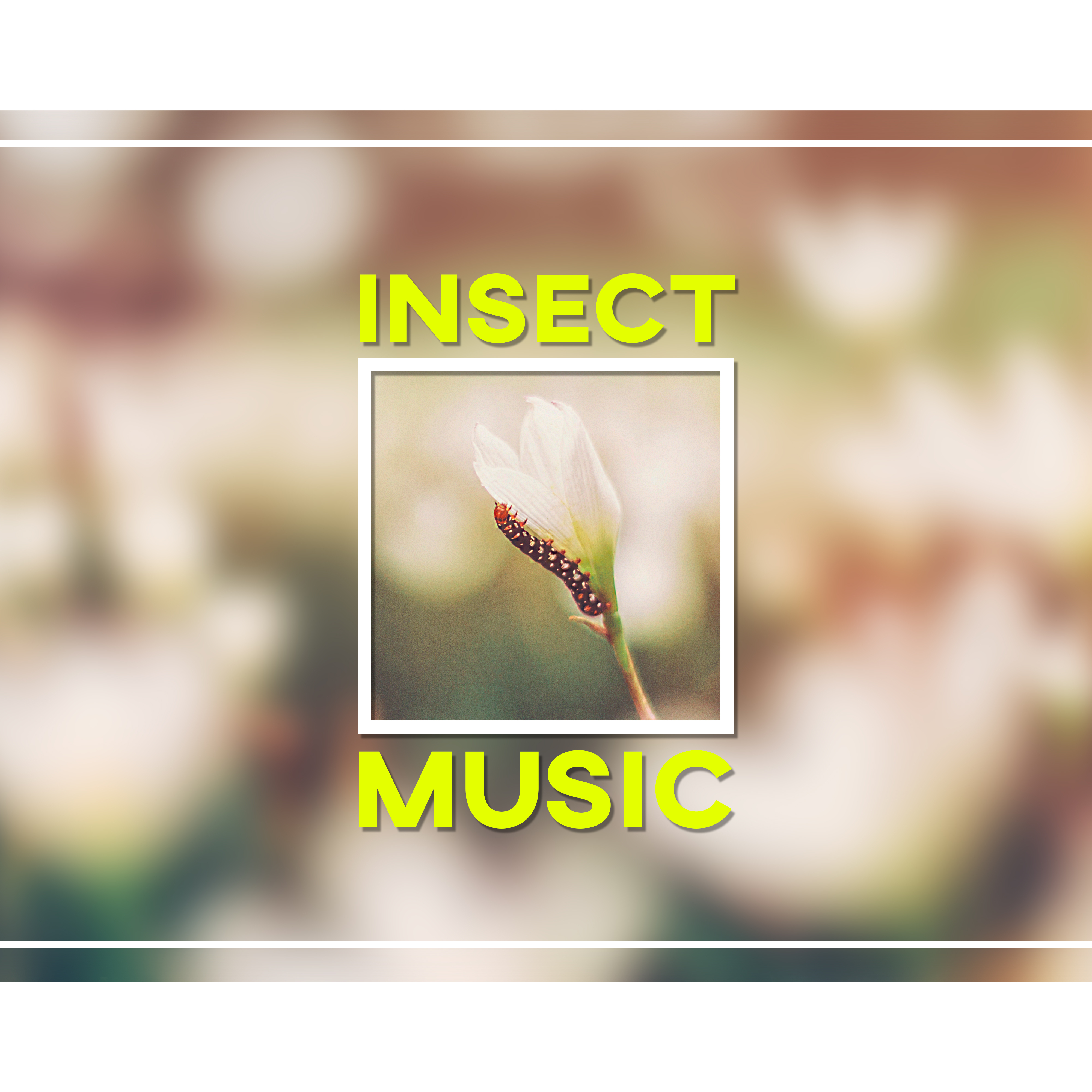 Insect Music – Butterfly, Fruit, Flowers, Tree, Green, Ripple