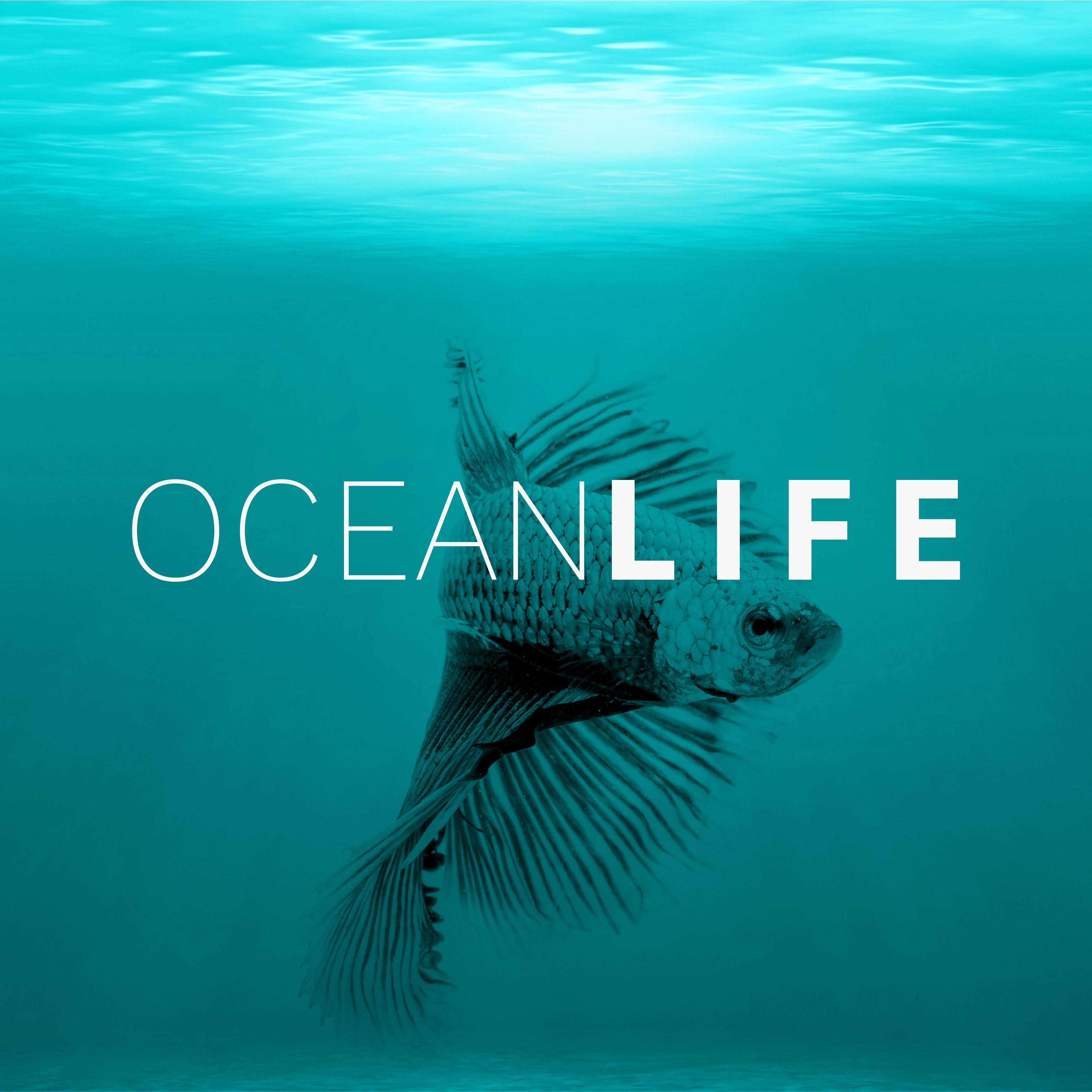 Ocean Life – Healing Water, Soft Music, New Age Relaxation, Sea Waves, Rain Sounds