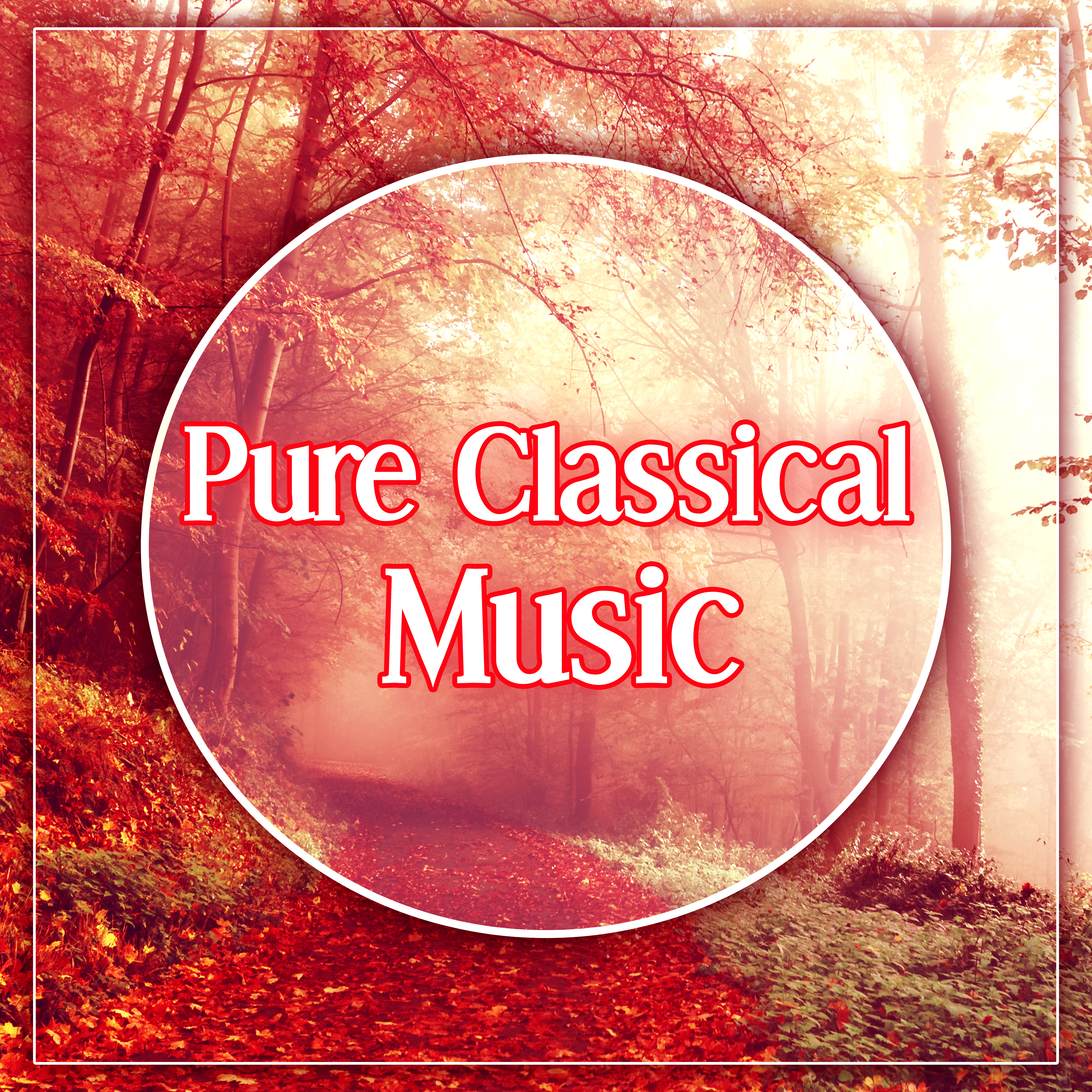 Pure Classical Music – Relaxing Music, Meditation, Concentration, Baby Music, Deep Sleep