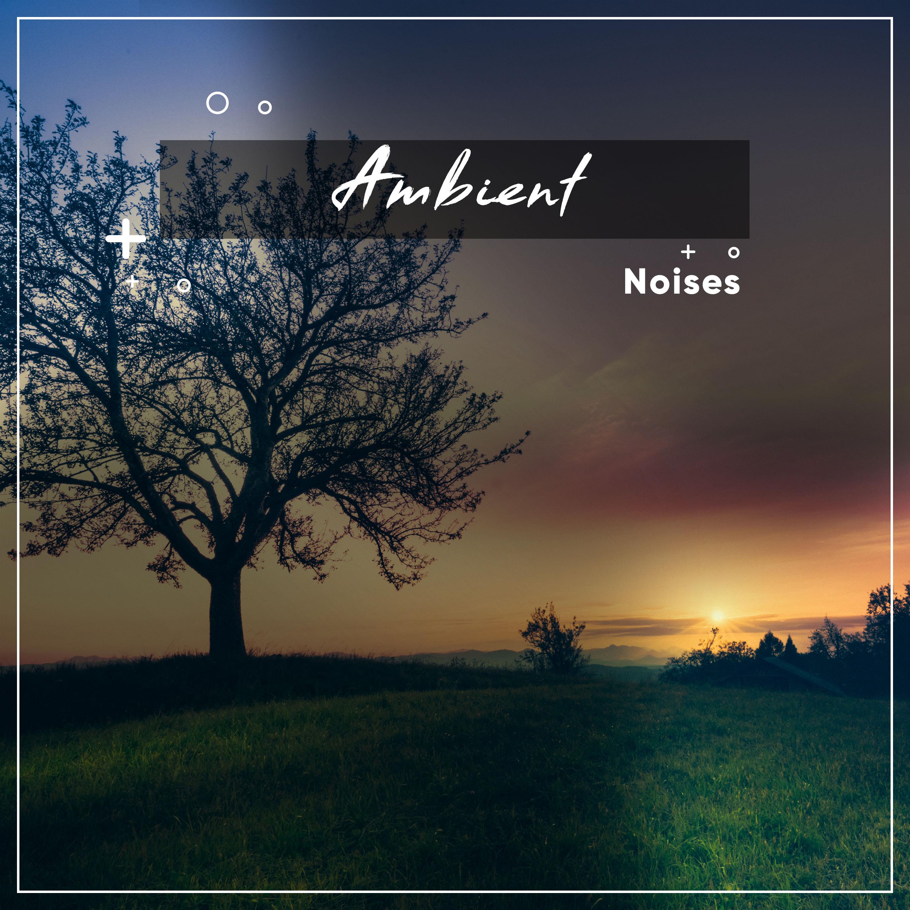 #10 Ambient Noises for Spa Relaxation or Meditative Calm