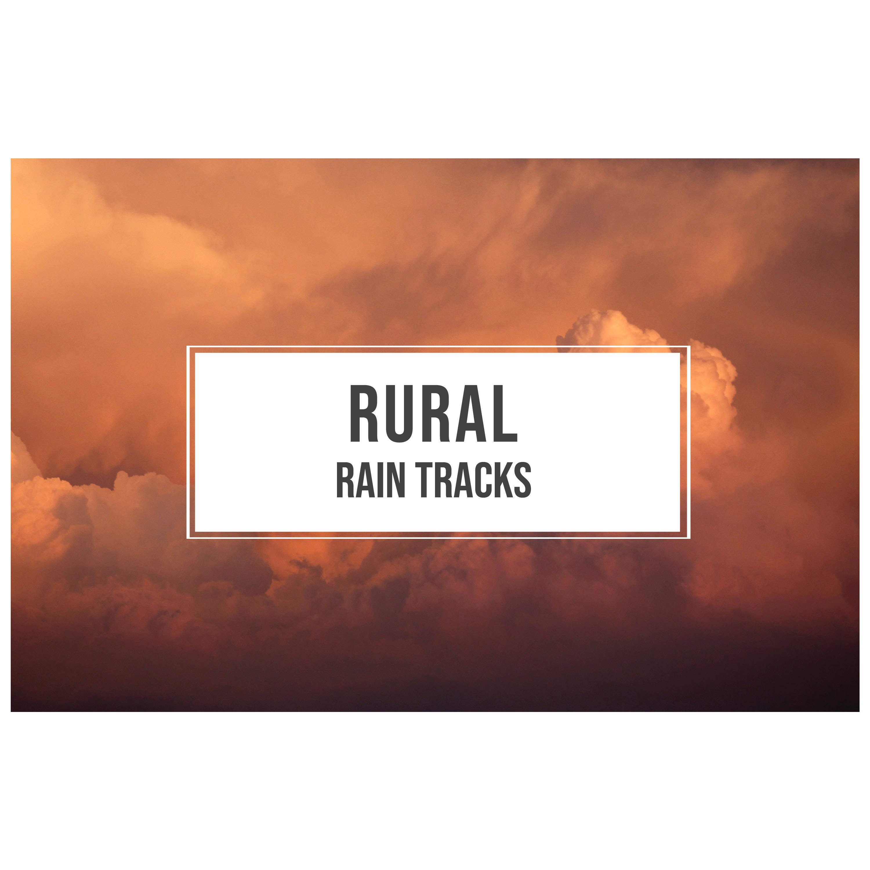 #10 Rural Rain Tracks