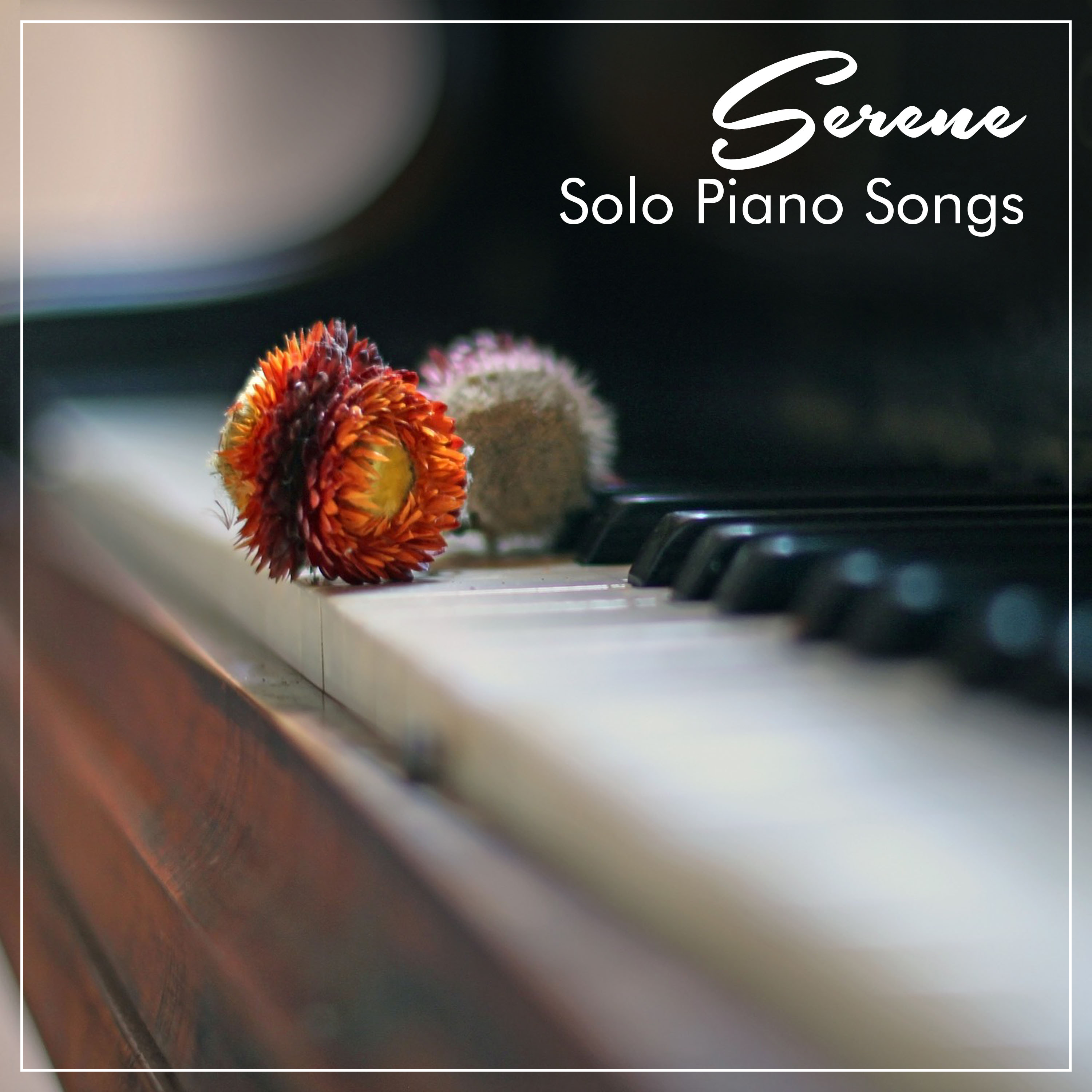 #11 Serene Solo Piano Songs