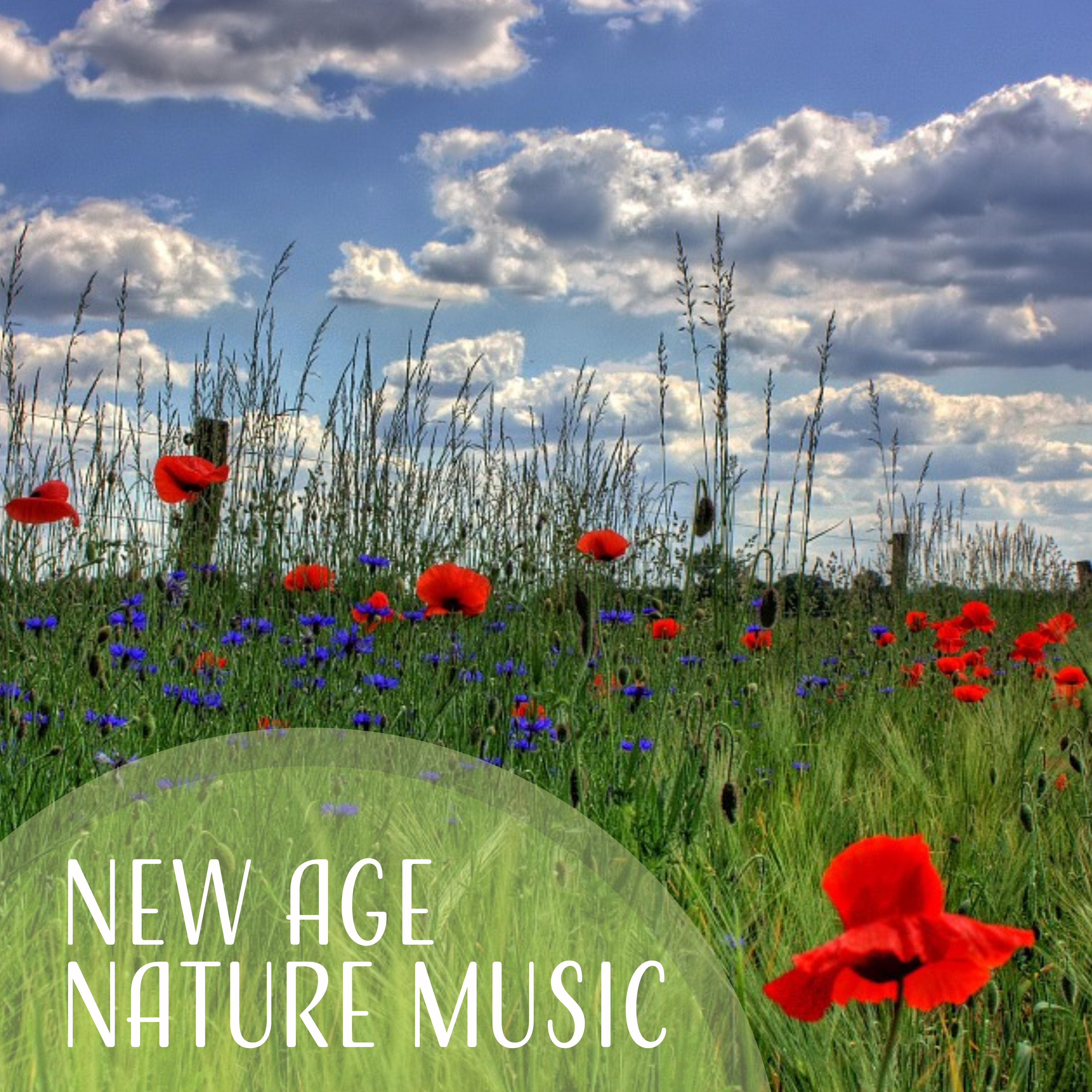 New Age Nature Music – Calming Sounds, Nature Relaxation, Forest Sounds, Bird Singing