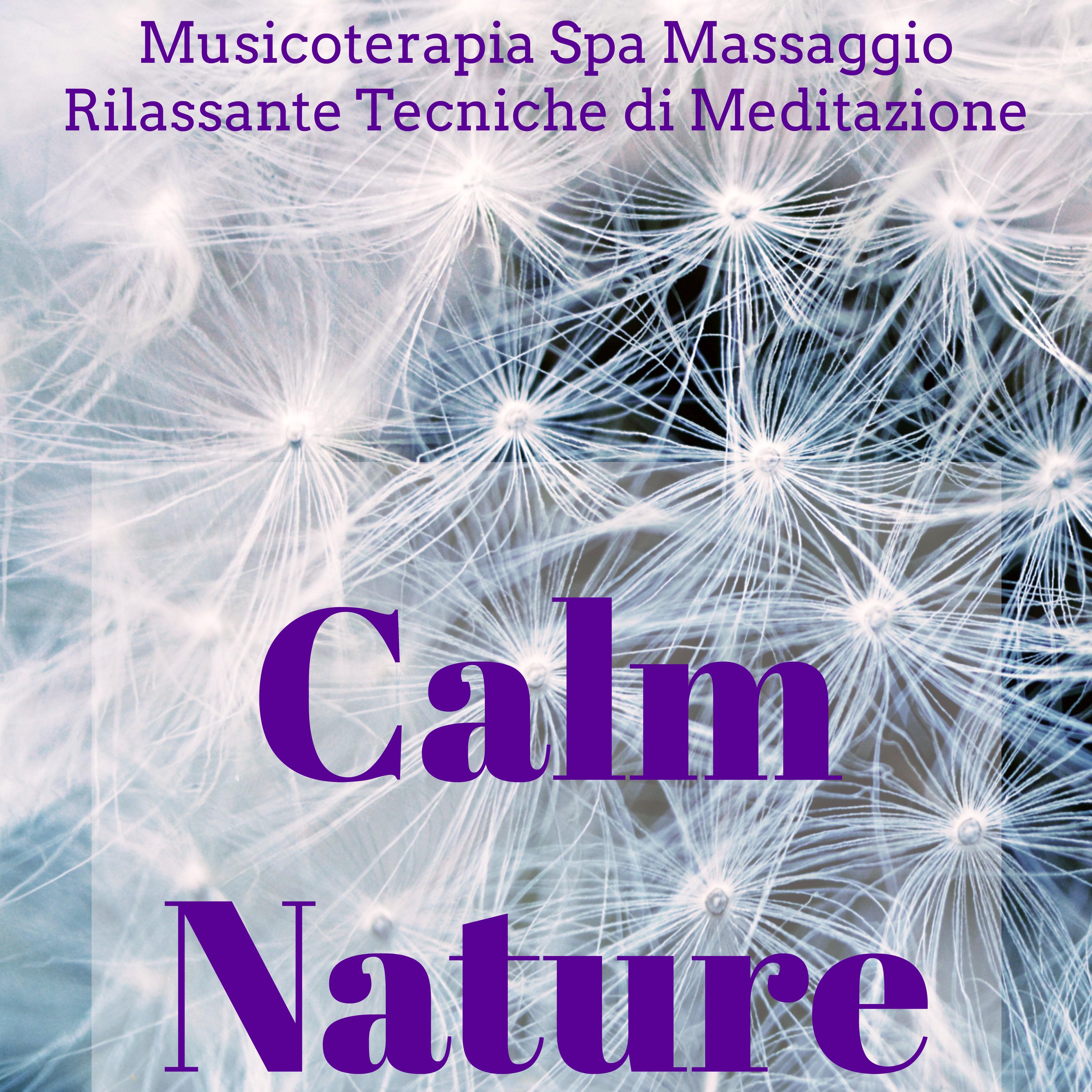 Calm Nature - Musicoterapia Spa Massaggio Rilassante Centro Benessere e Tecniche di Meditazione con Suoni della Natura New Age Strumentali