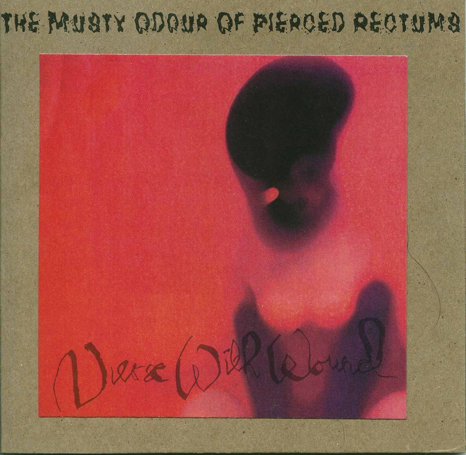 The Musty Odour of Pierced Rectums