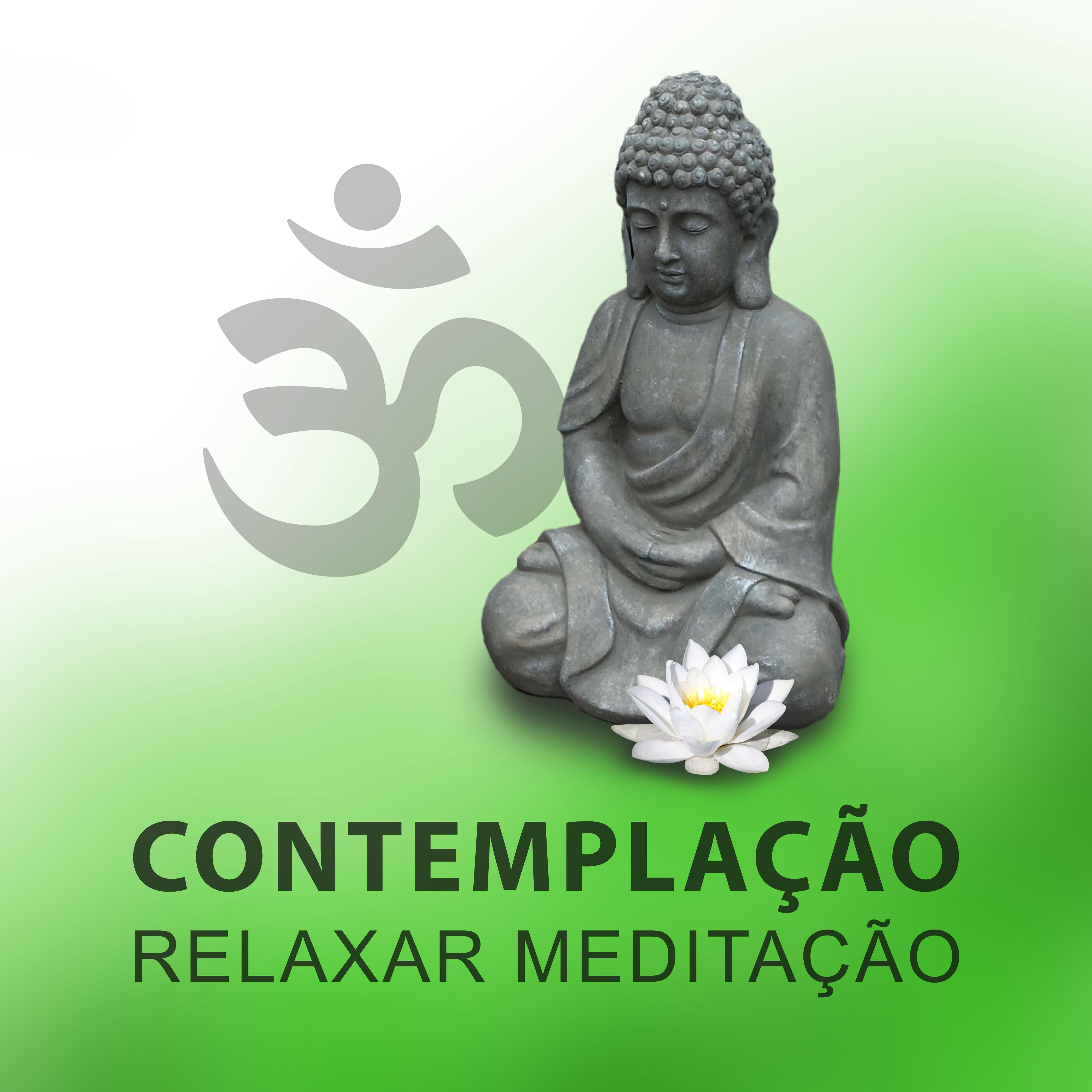 Contemplação – Relaxar Meditação