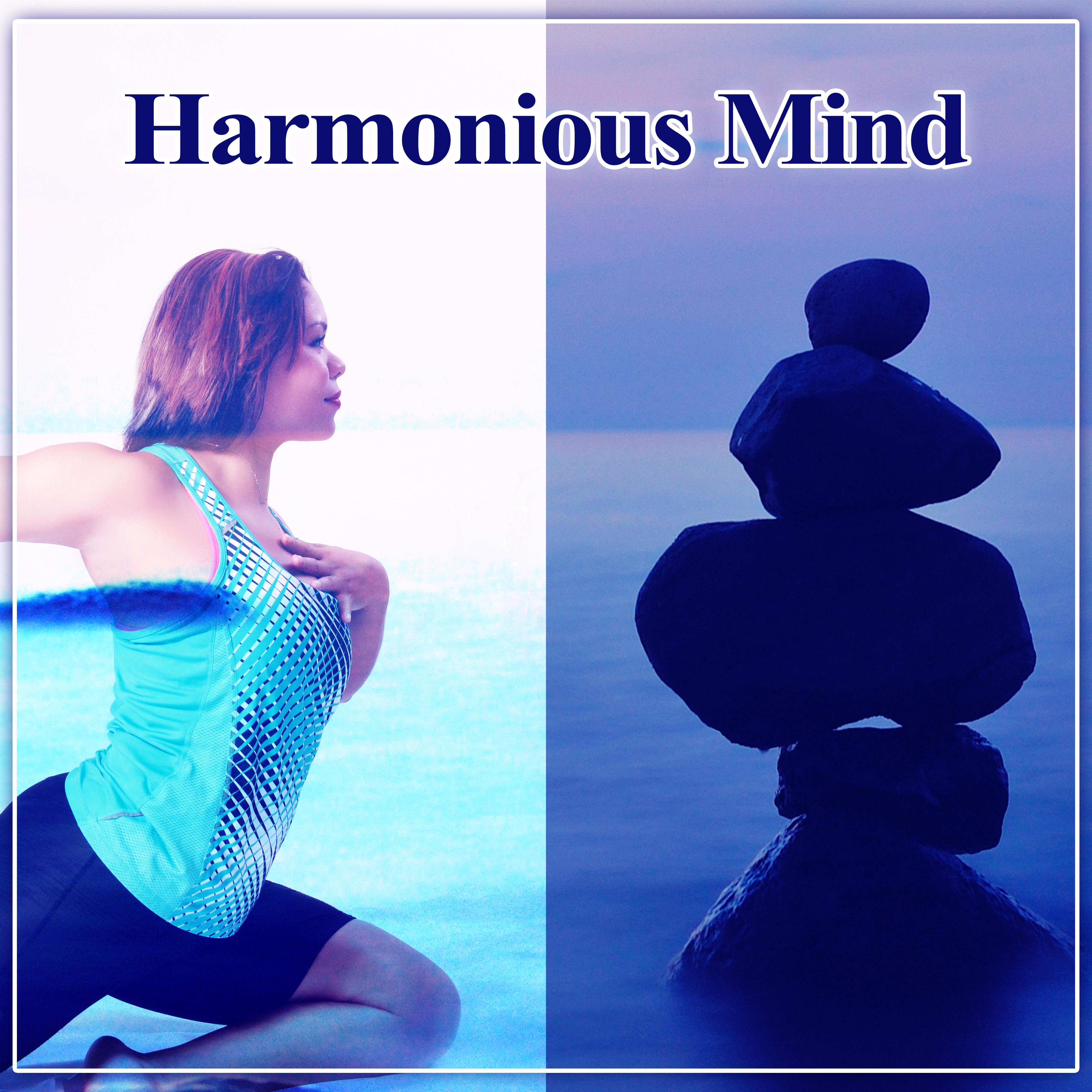 Harmonious Mind – Mute, Tern off, Brain, Sunny