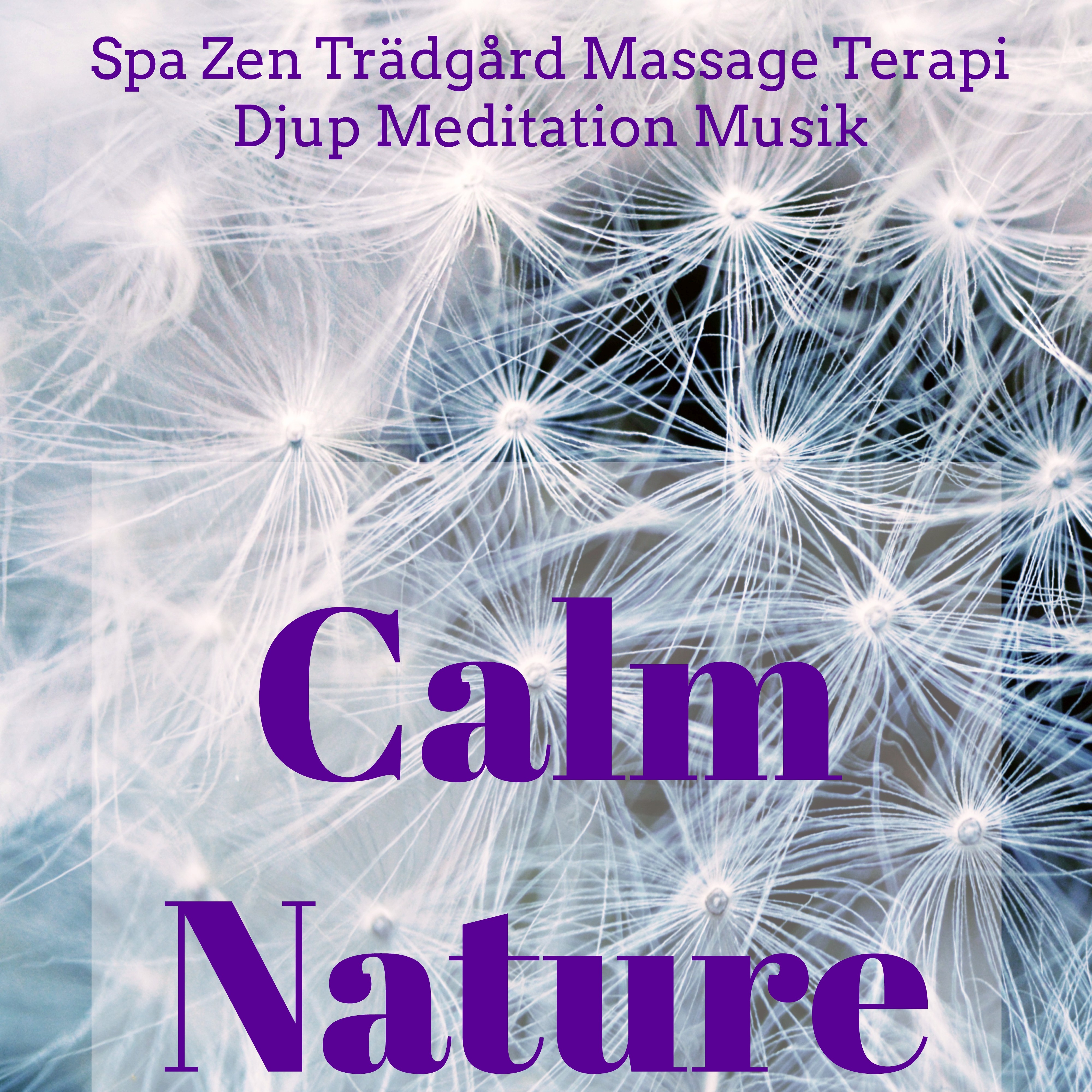 Calm Nature - Spa Zen Trädgård Massage Terapi Djup Meditation Musik med Natur Instrumental New Age Ljud