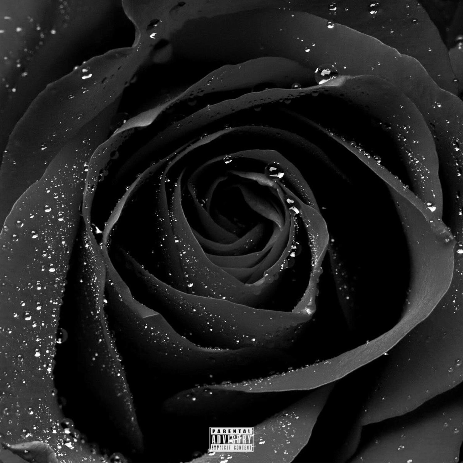 Black Roses