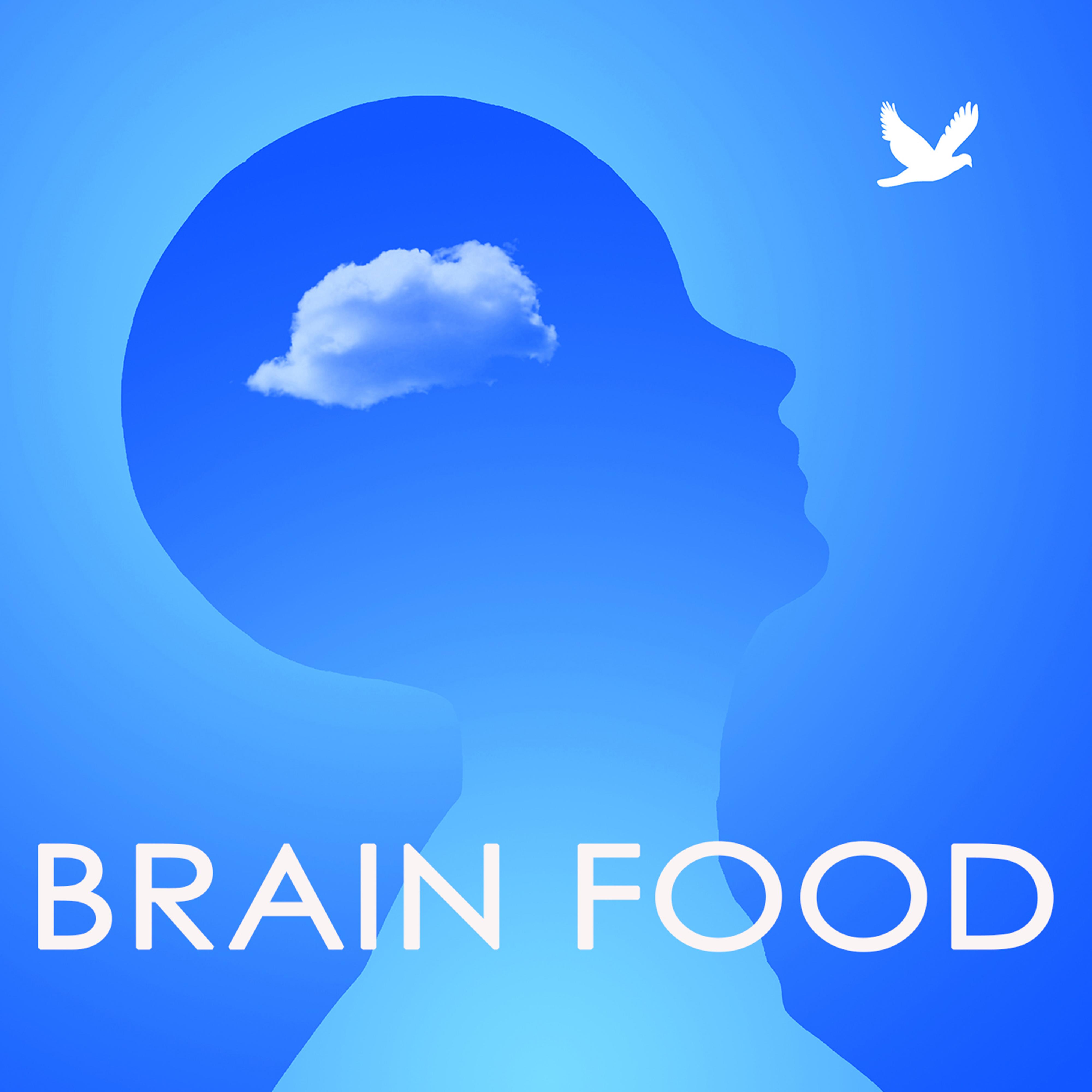 Brain Food – Soft Relaxing Music to Help Your Concentration and Focus, Sound Therapy to Increase the Power of the Mind and Concentrate