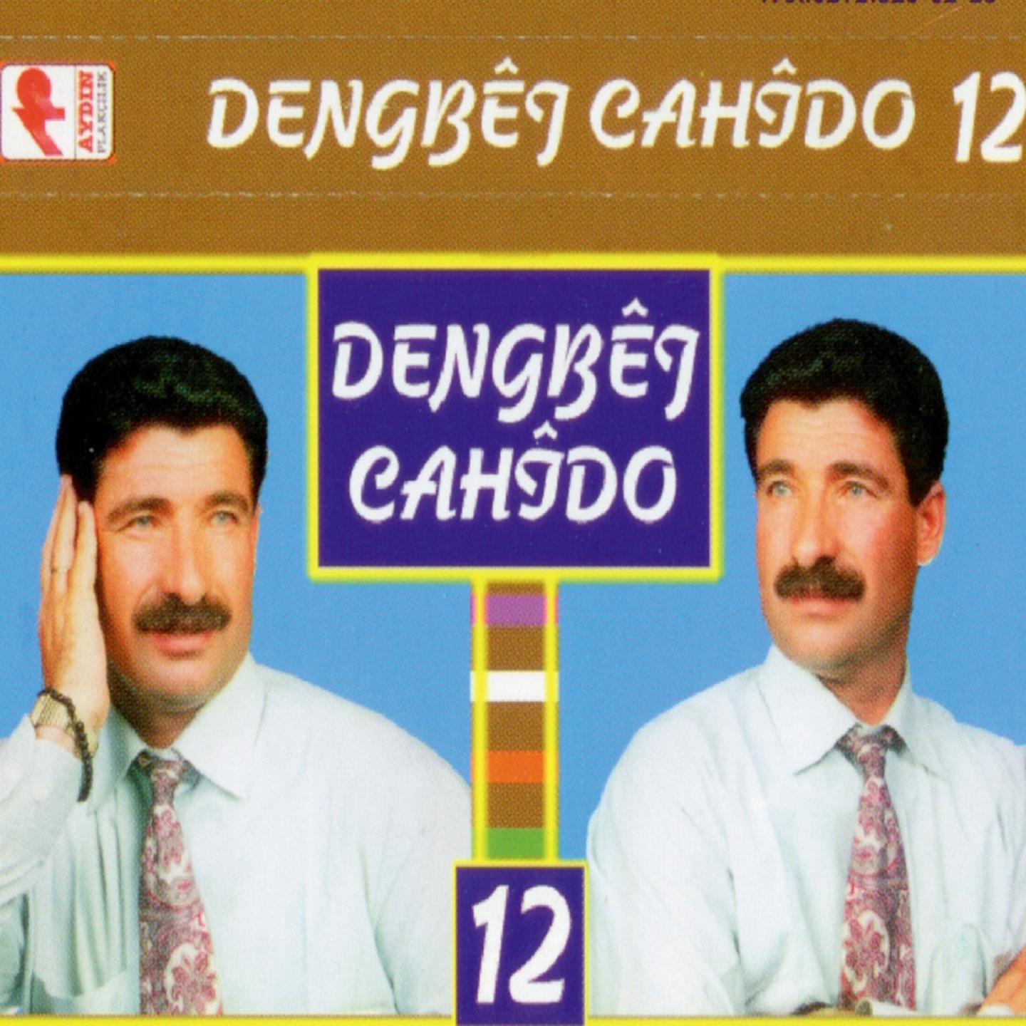 Dengbêj Cahîdo, Vol. 12 (Kinê)