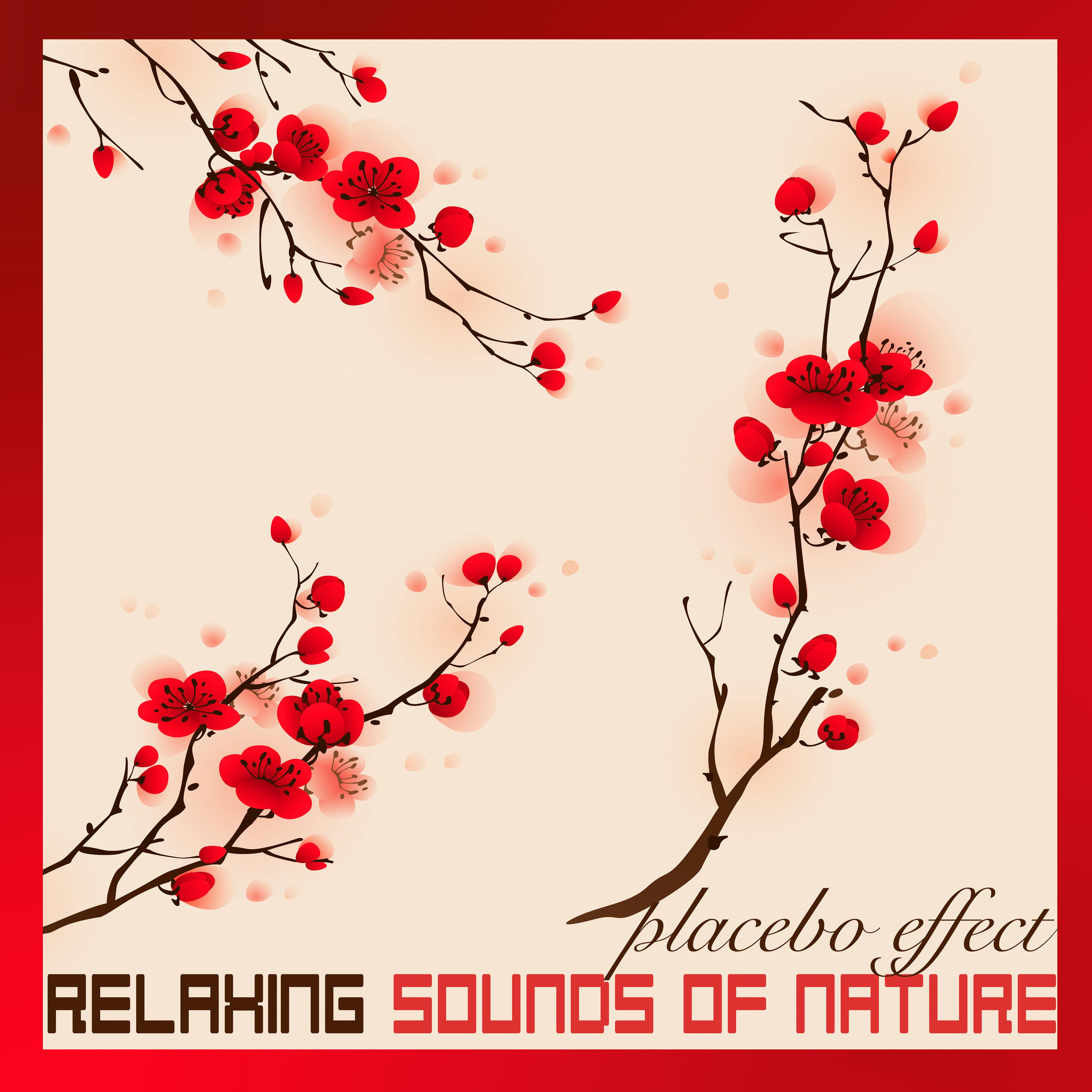 Relaxing Sounds of Nature - Placebo Effect White Noise Music, Soothing Sleep Sound Collection