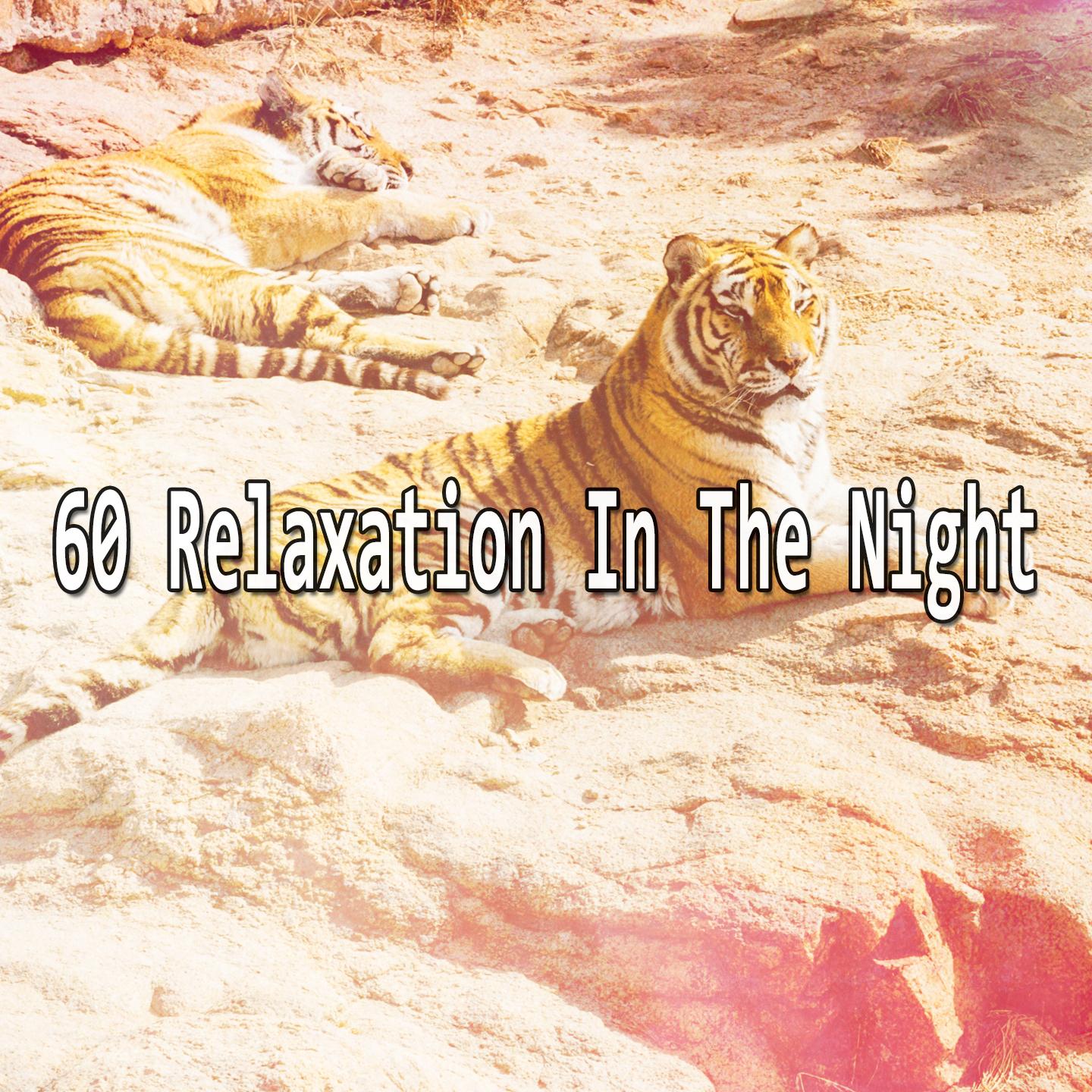 60 Relaxation In The Night