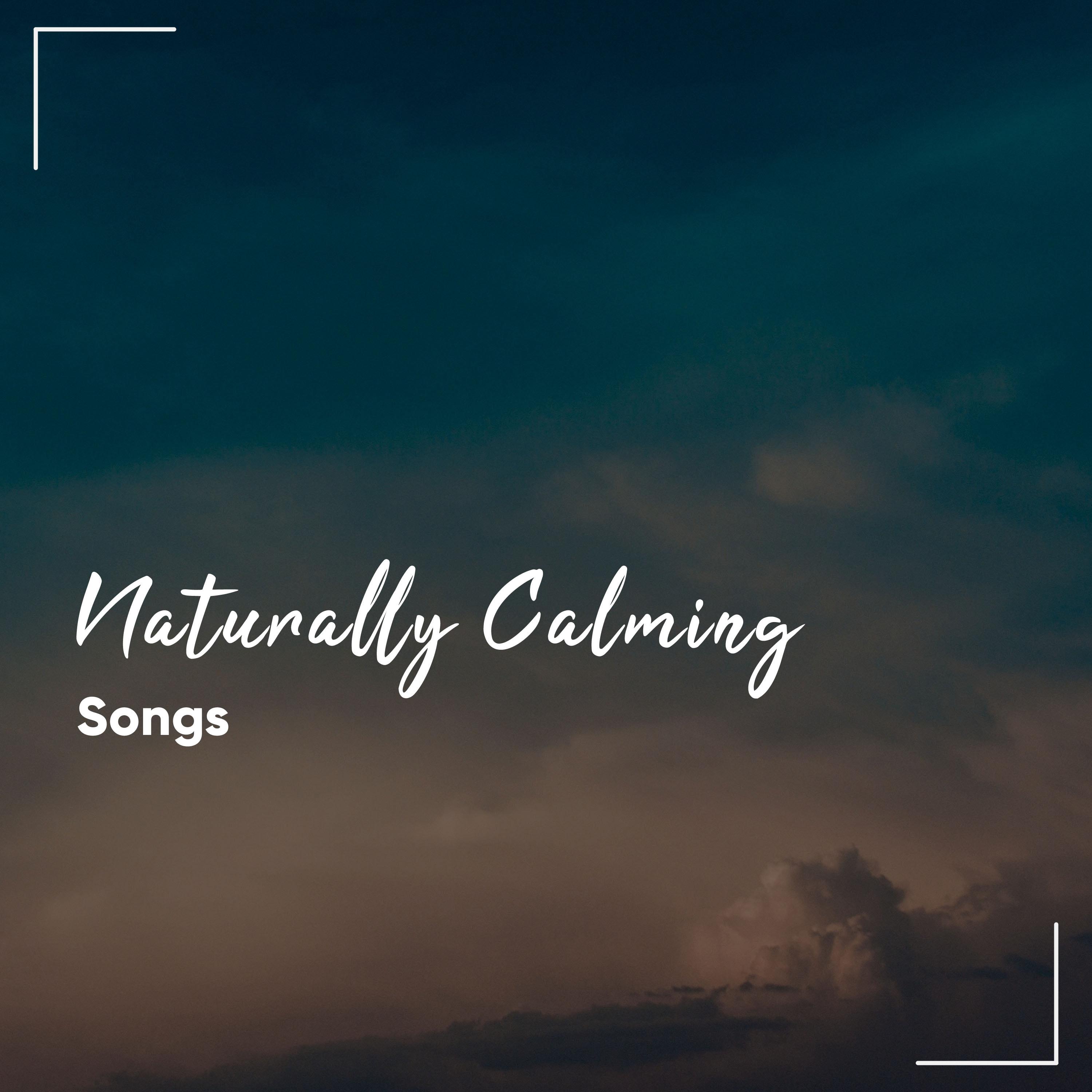 #14 Naturally Calming Songs for Stress Relieving Meditation