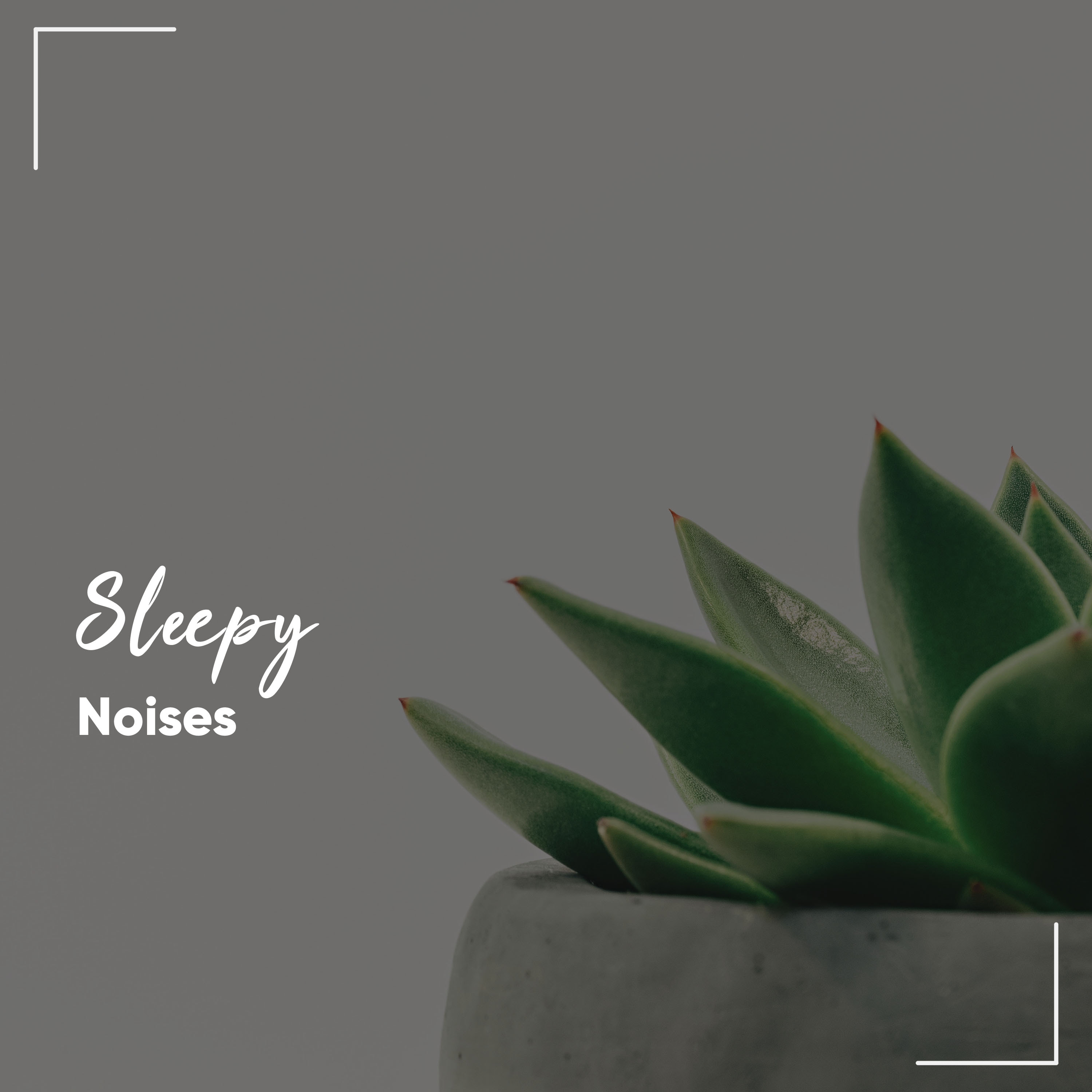 #13 Sleepy Noises for Zen Spa