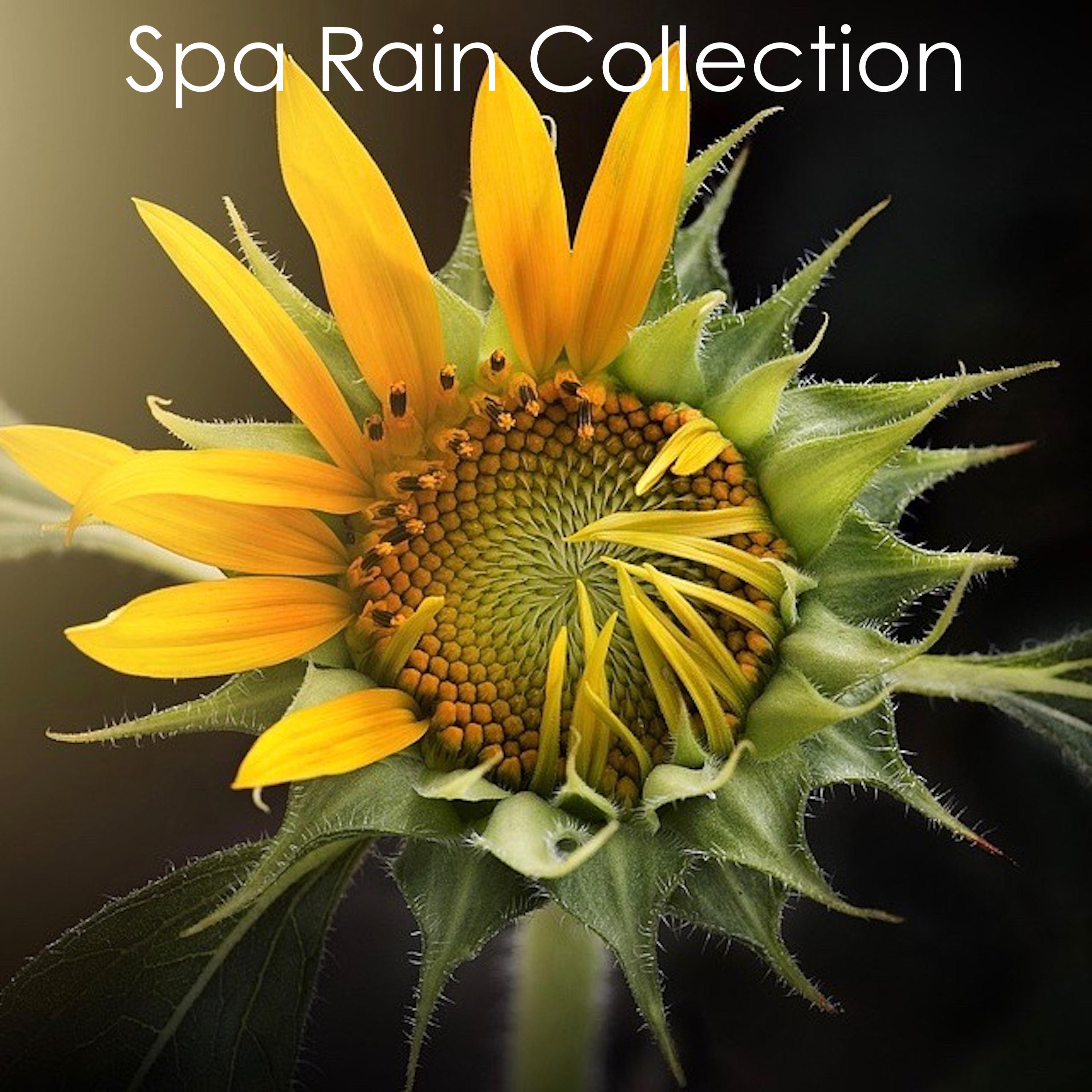 #2018 Spa Collection: The Best Nature Sounds for Spa, Meditation, Zen, Massage, Yoga and Herbal Therapies