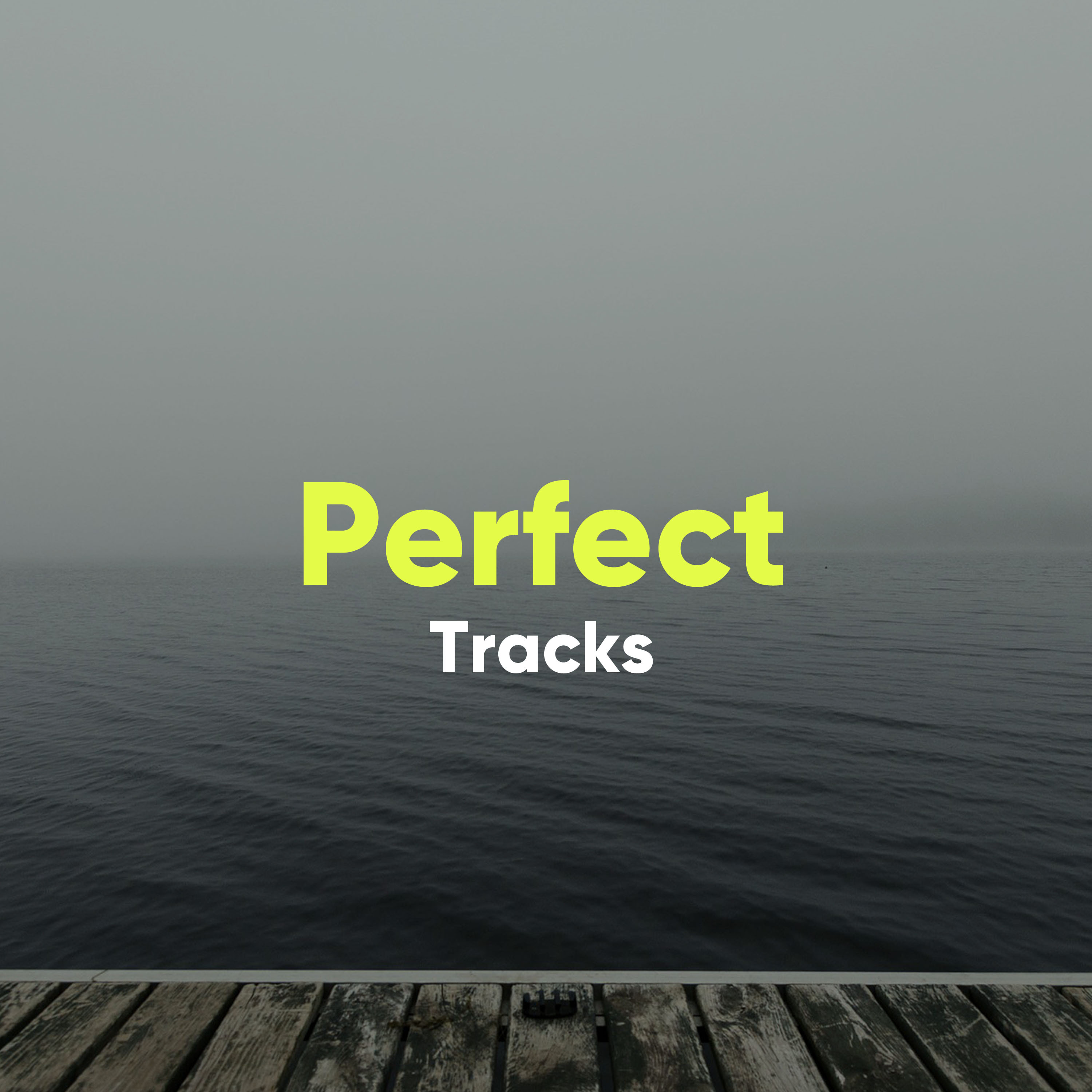 Perfect Tracks for Brain Stimulation