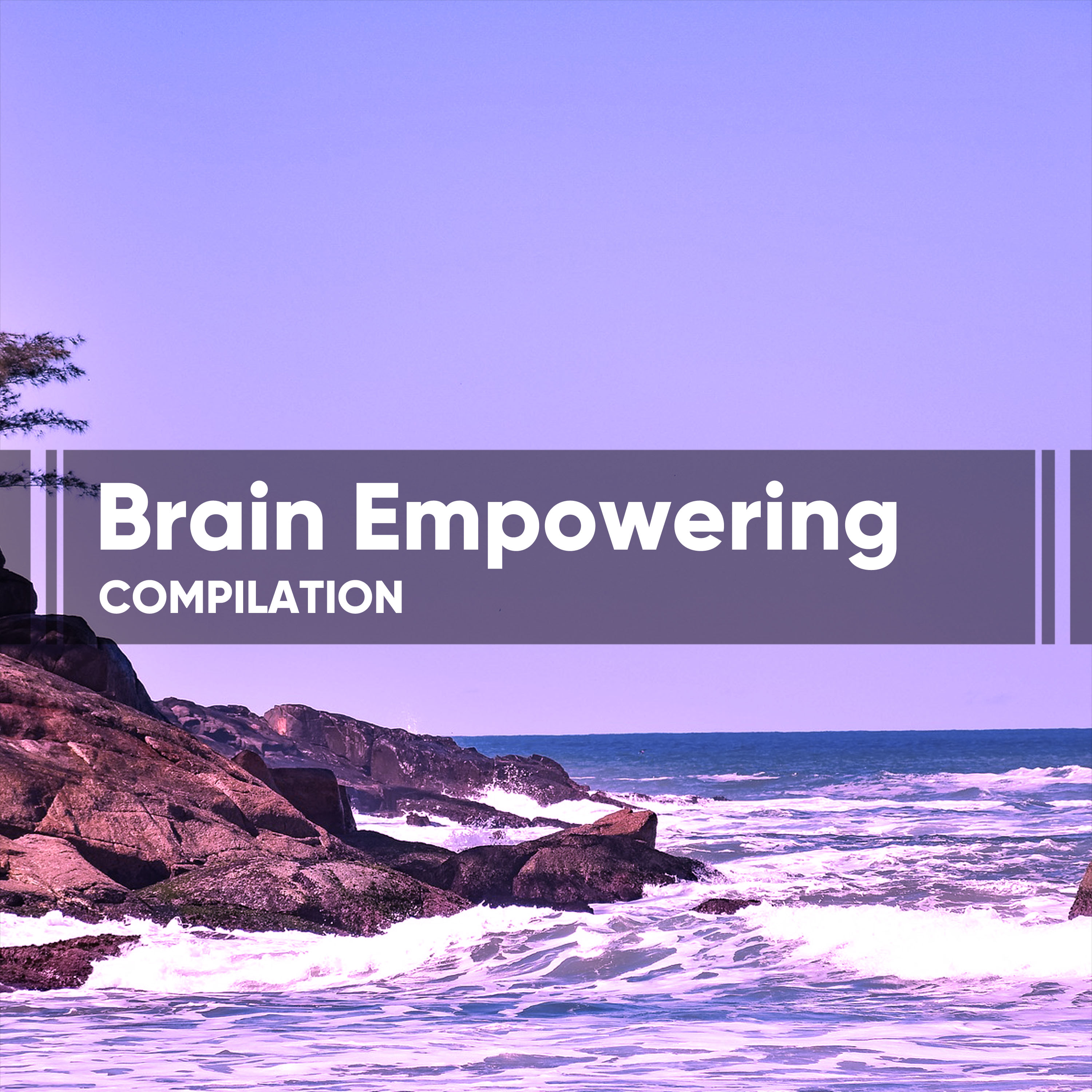 Brain Empowering Compilation