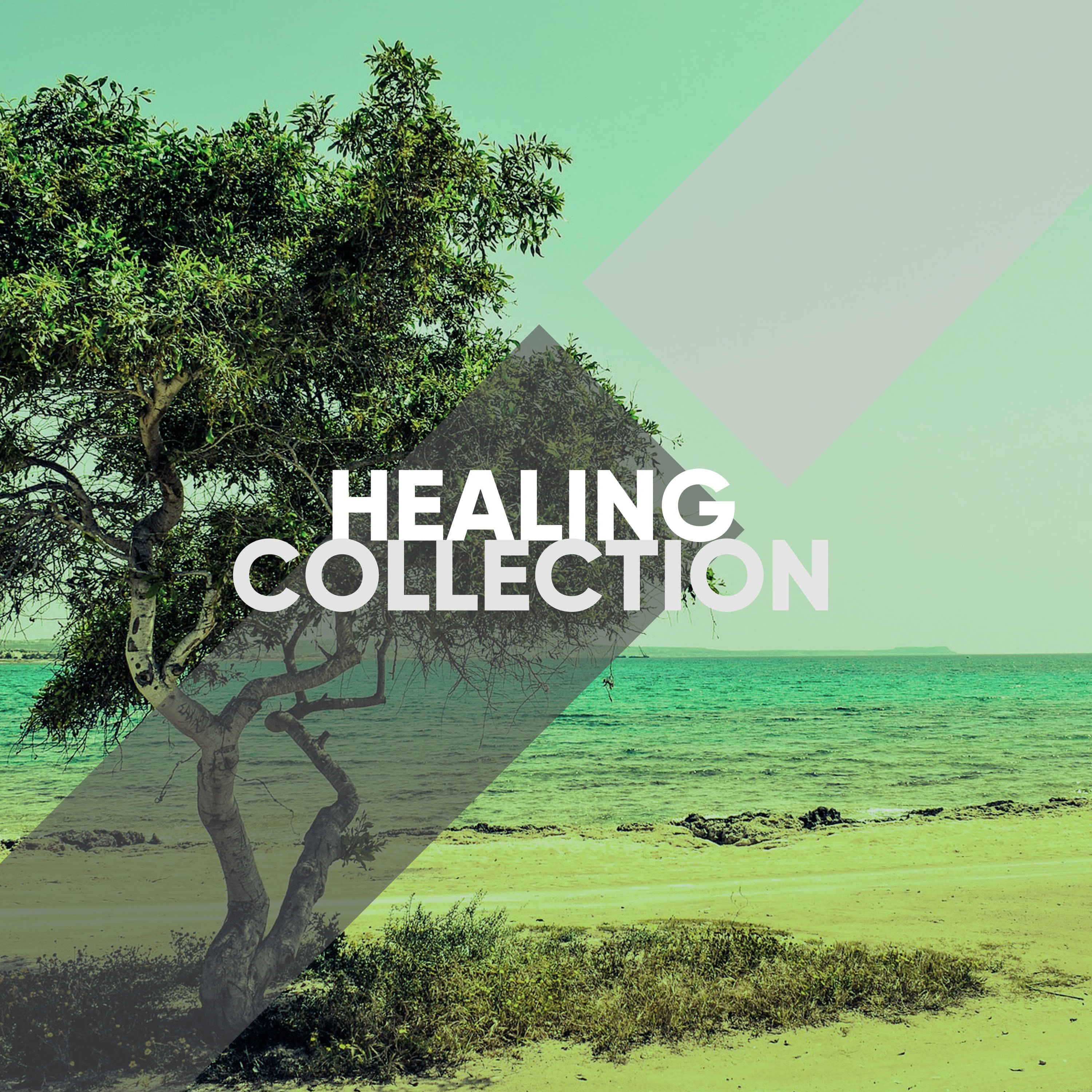 Healing Collection of Yoga Sounds