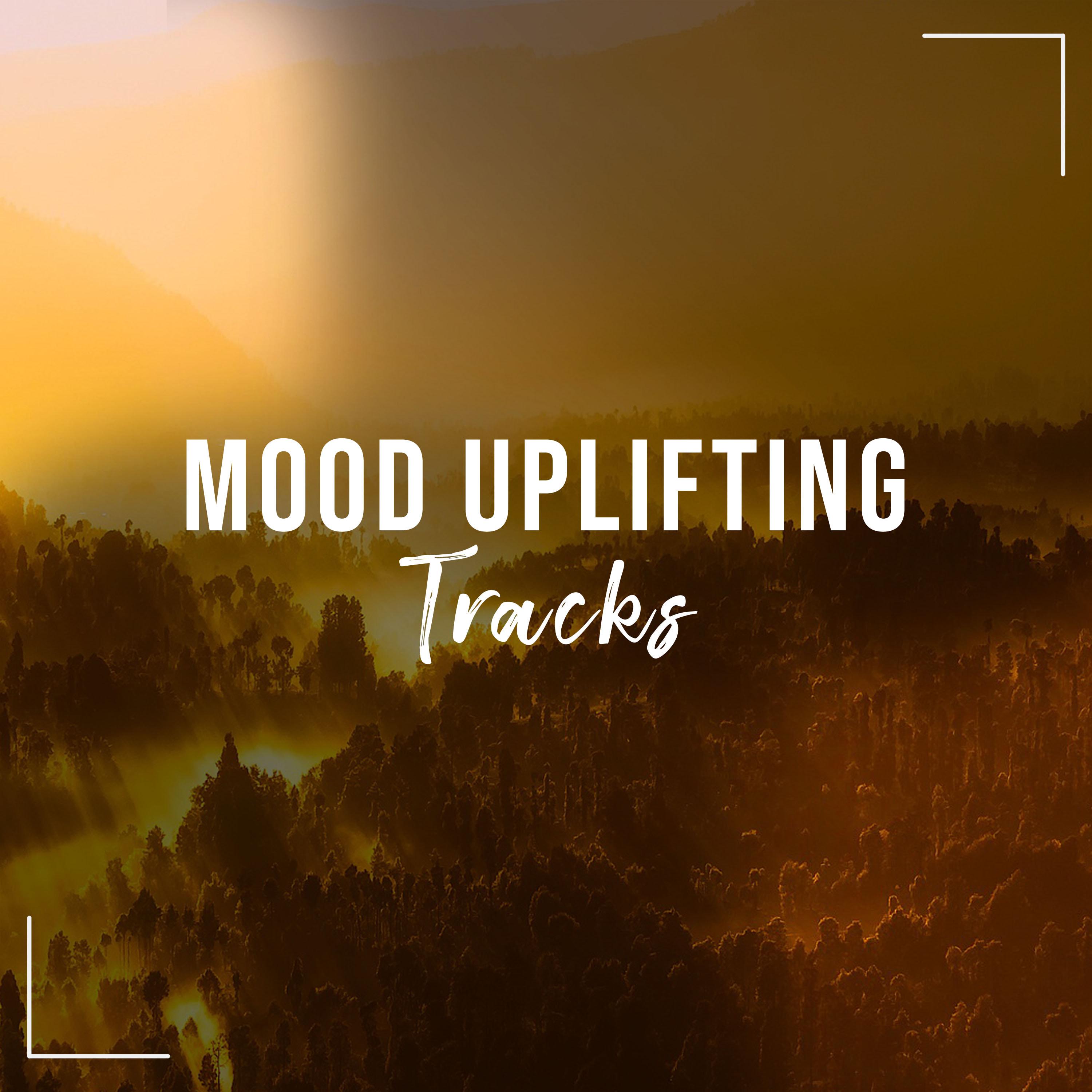 #20 Mood Uplifting Tracks for Zen Spa