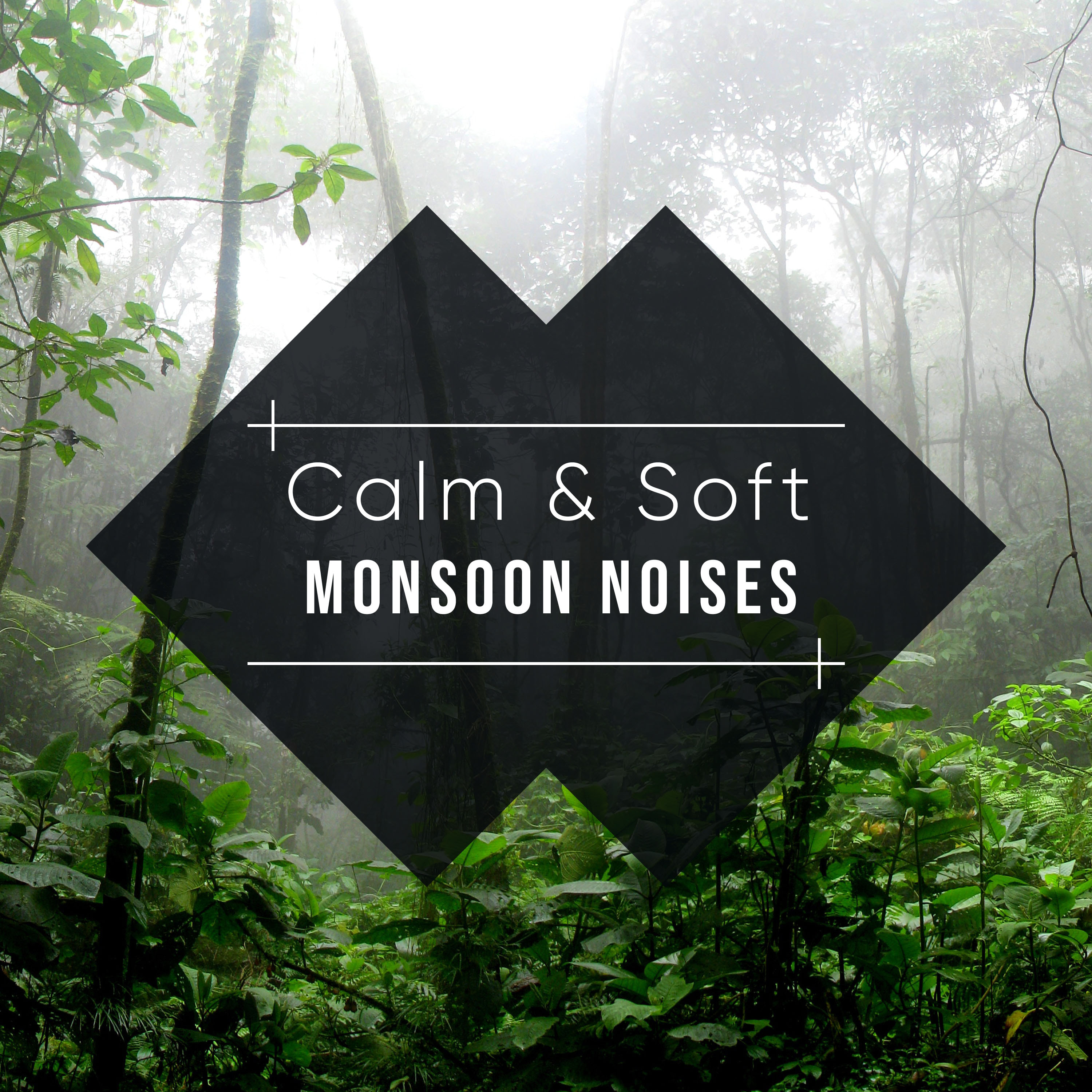 #18 Calm & Soft Monsoon Noises for Relaxation