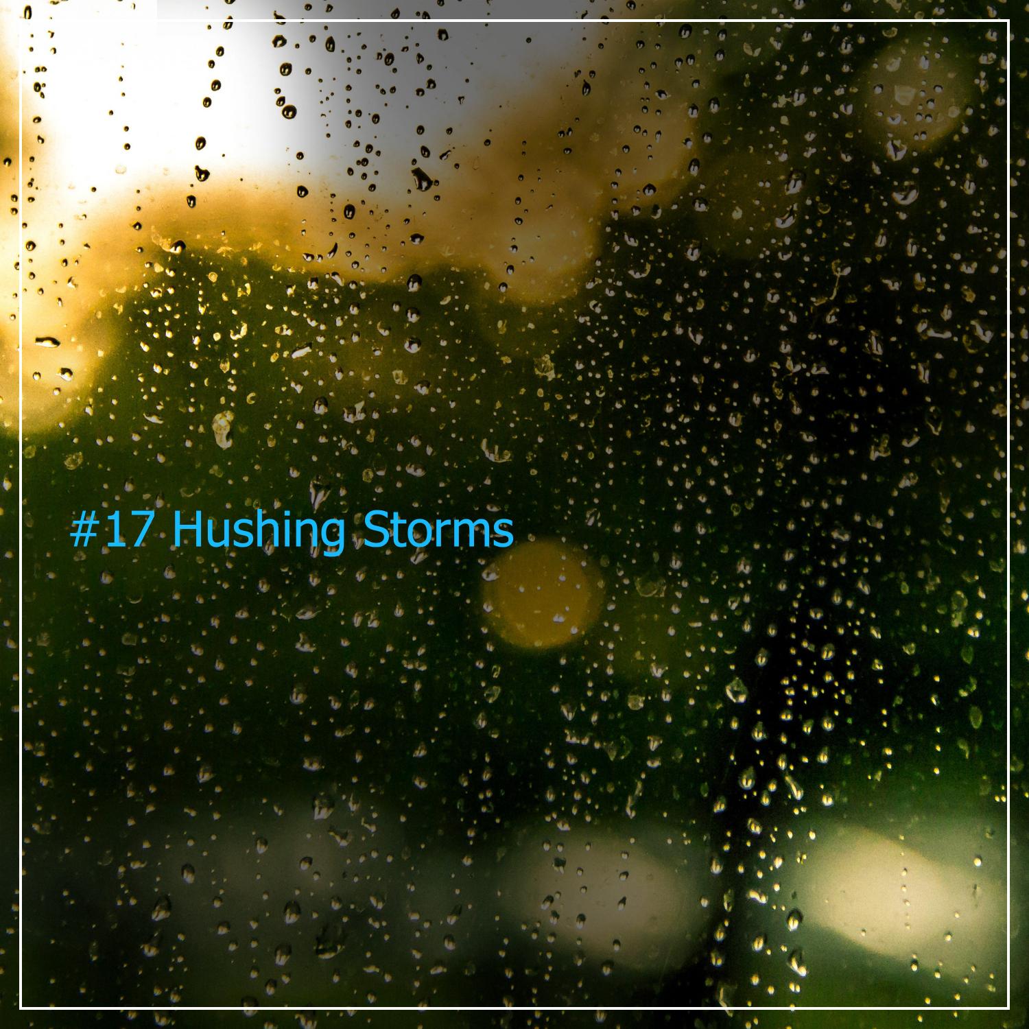 #17 Hushing Storms