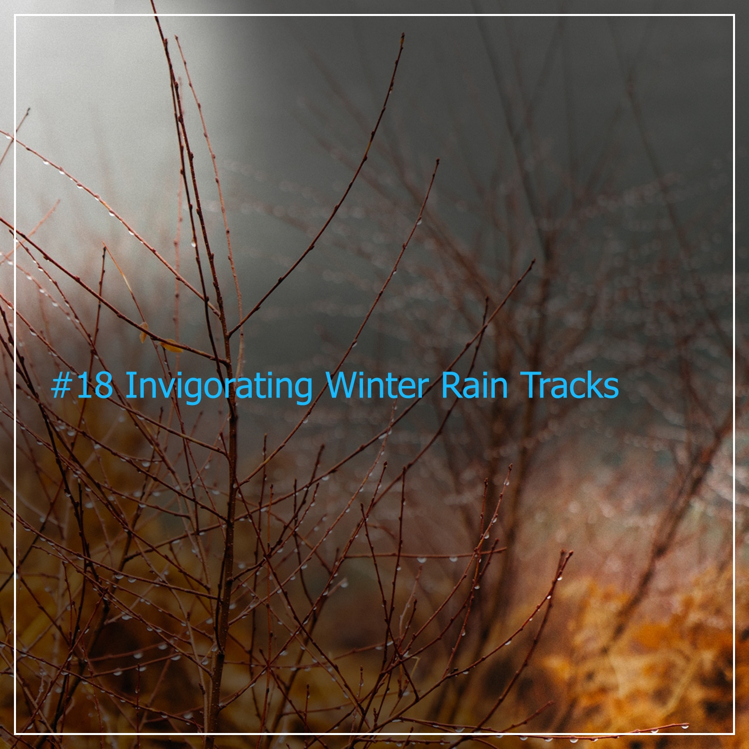 #18 Invigorating Winter Rain Tracks