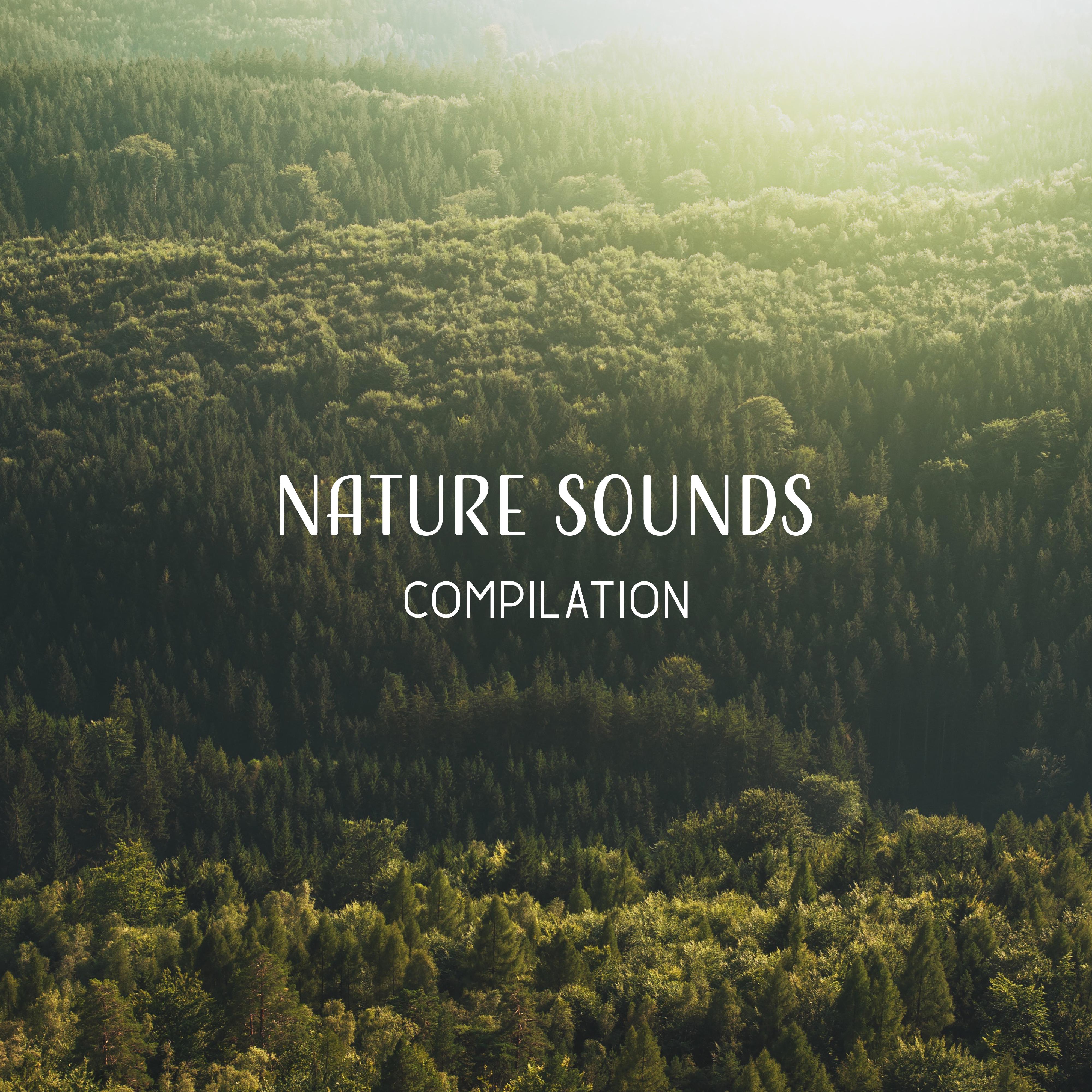 Nature Sounds Compilation – Relaxing Music, Full of Nature Sounds, Massage Music, New Age