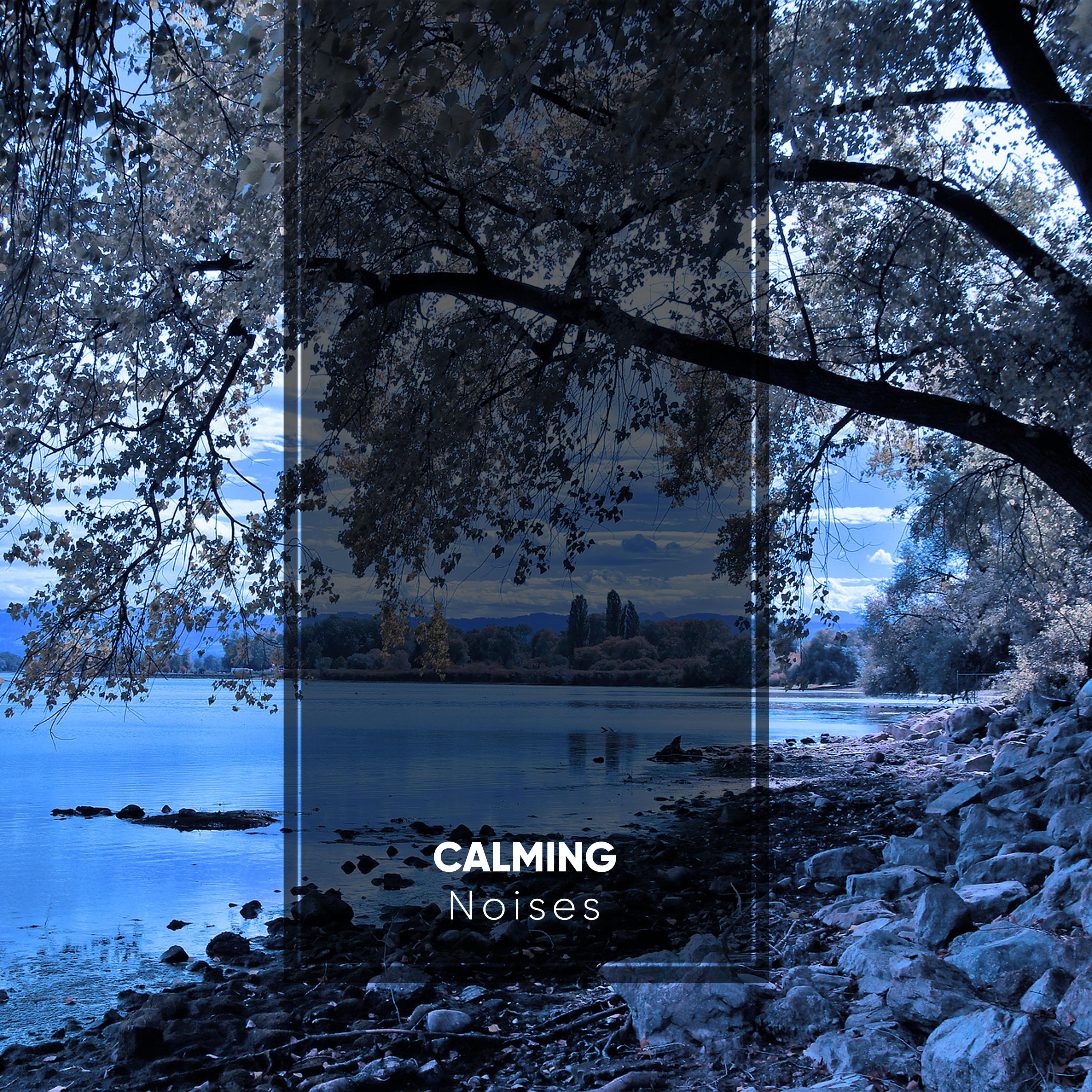 Calming Noises for Meditation