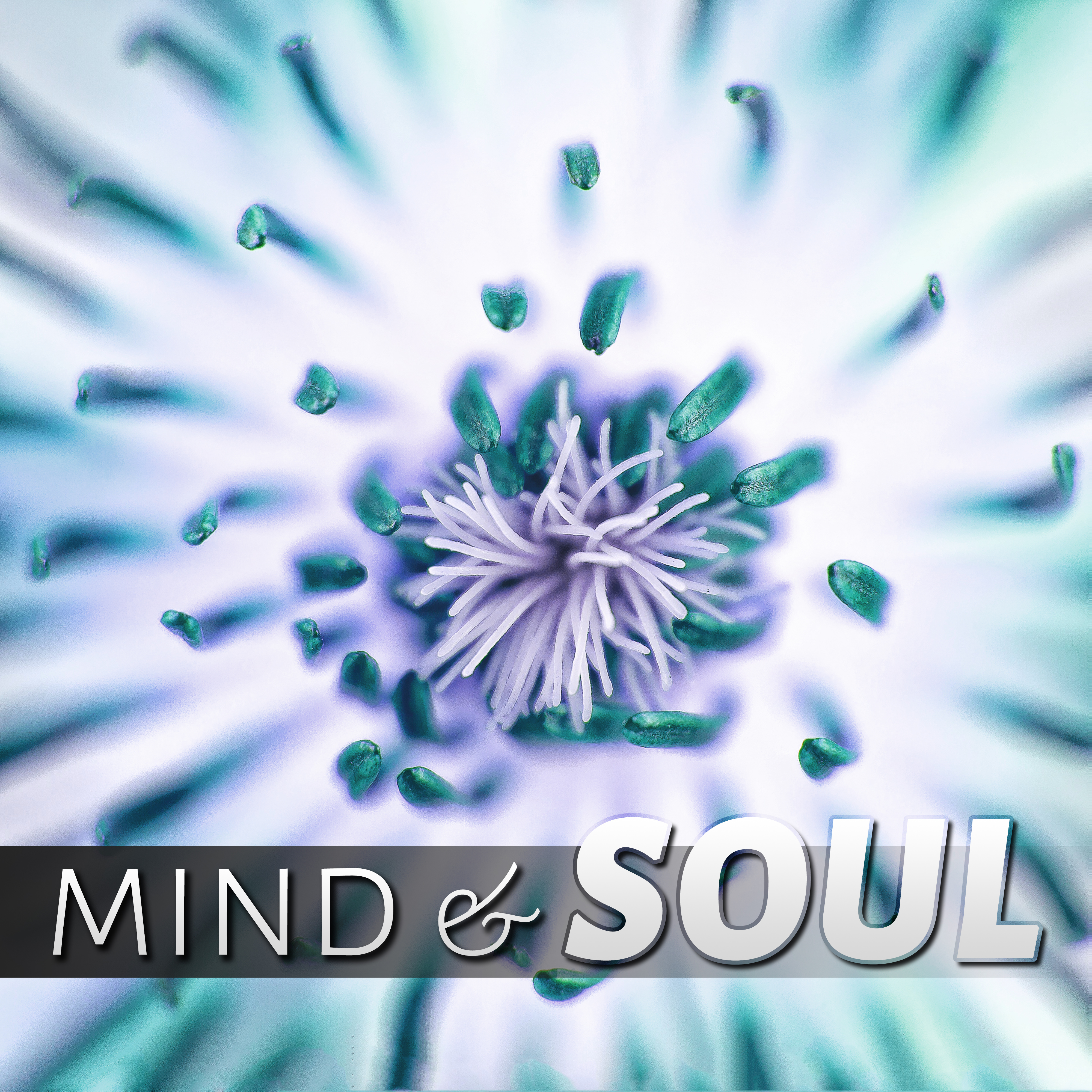 Mind & Soul - Asian Zen Spa and Massage, Natural White Noise, Sounds of Nature