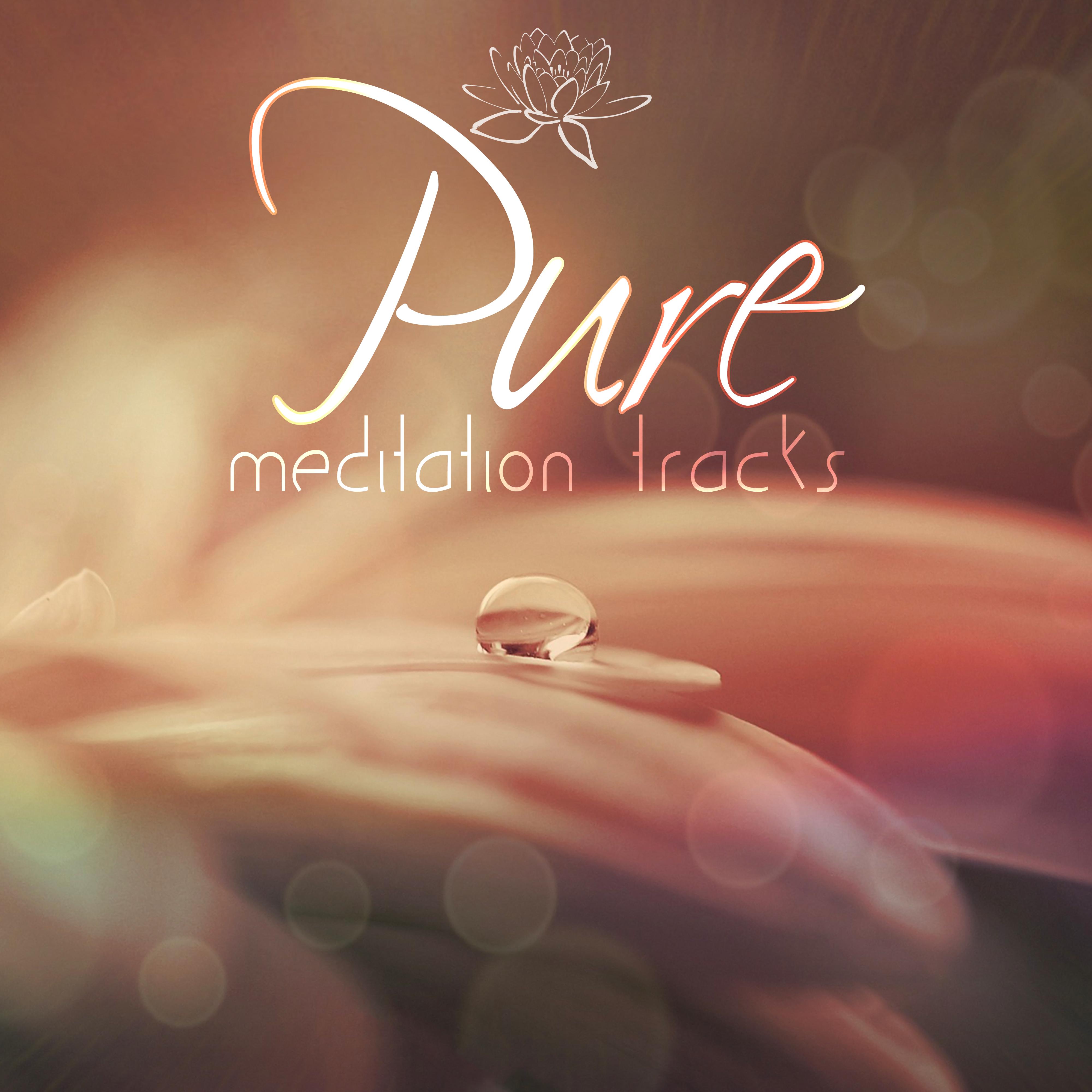 Pure Meditation Tracks – Yoga Relaxation, Deep Zen, Chakra Balancing, Inner Peace, Nature, Body and Mind, Zen Spa, Relaxation, Healing Waves