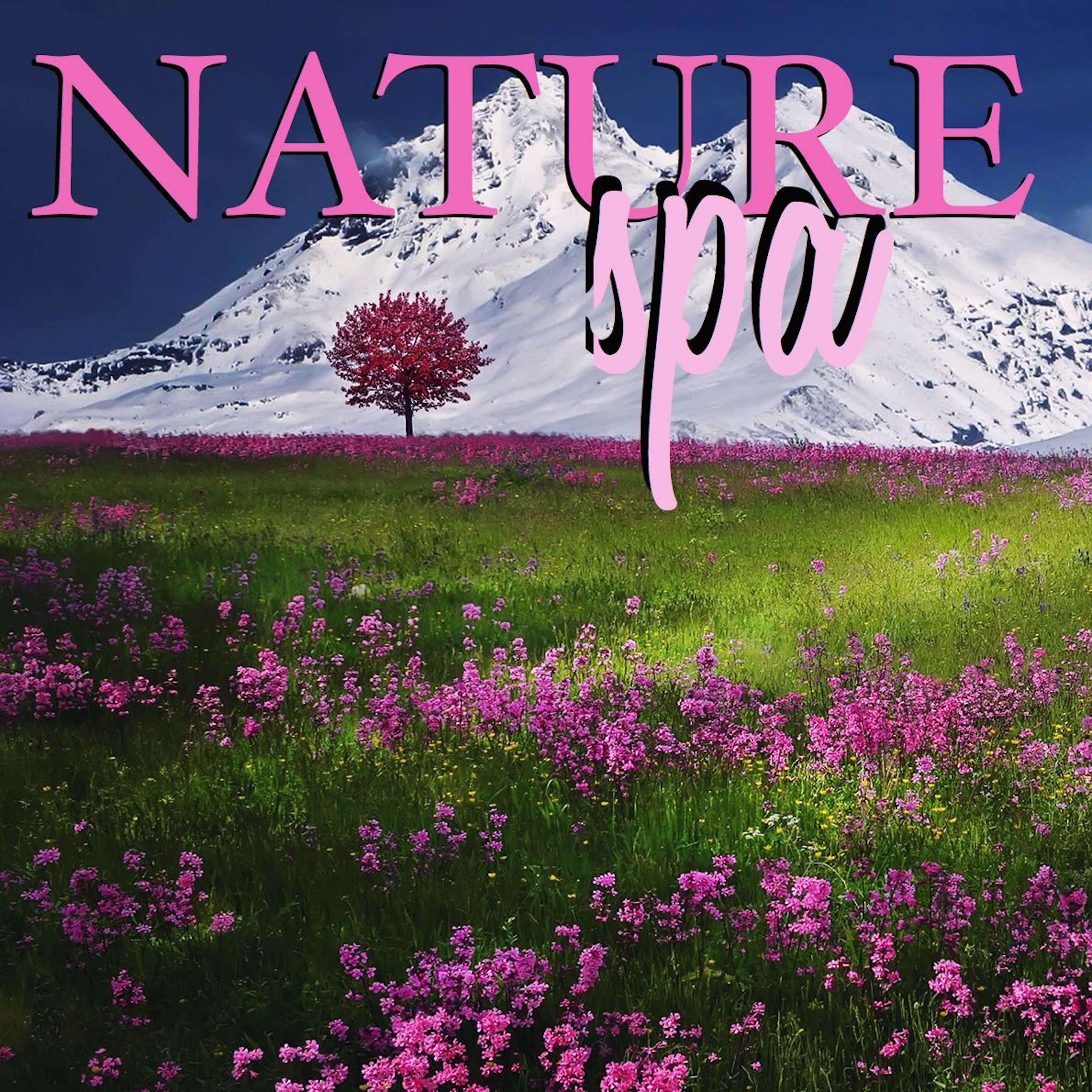 Nature Spa: Green New Age Music for Healing Touch