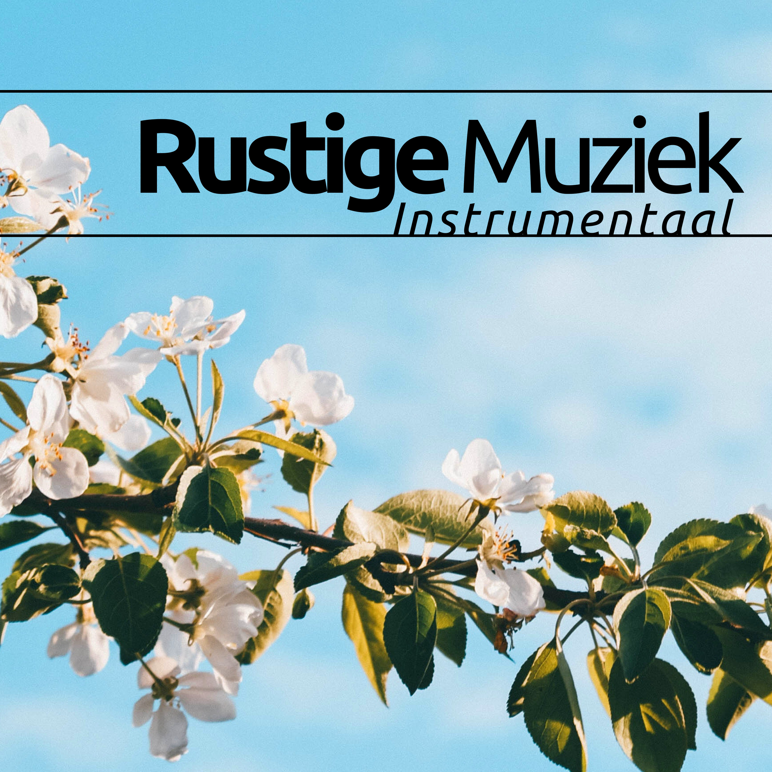 Rustige Muziek