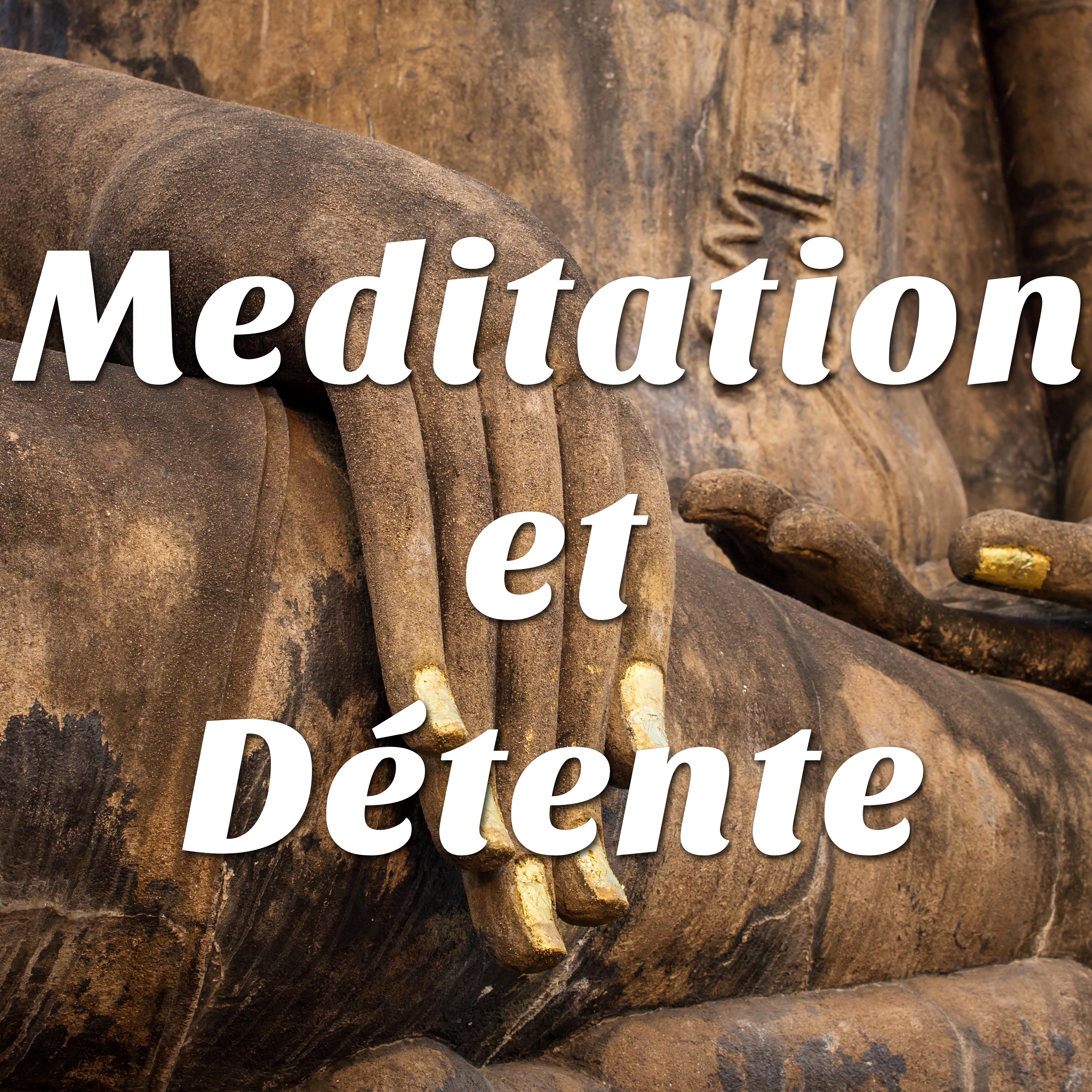 Meditation et Détente: Musique New Age pour Yoga Qi-Gong et Tai-chi