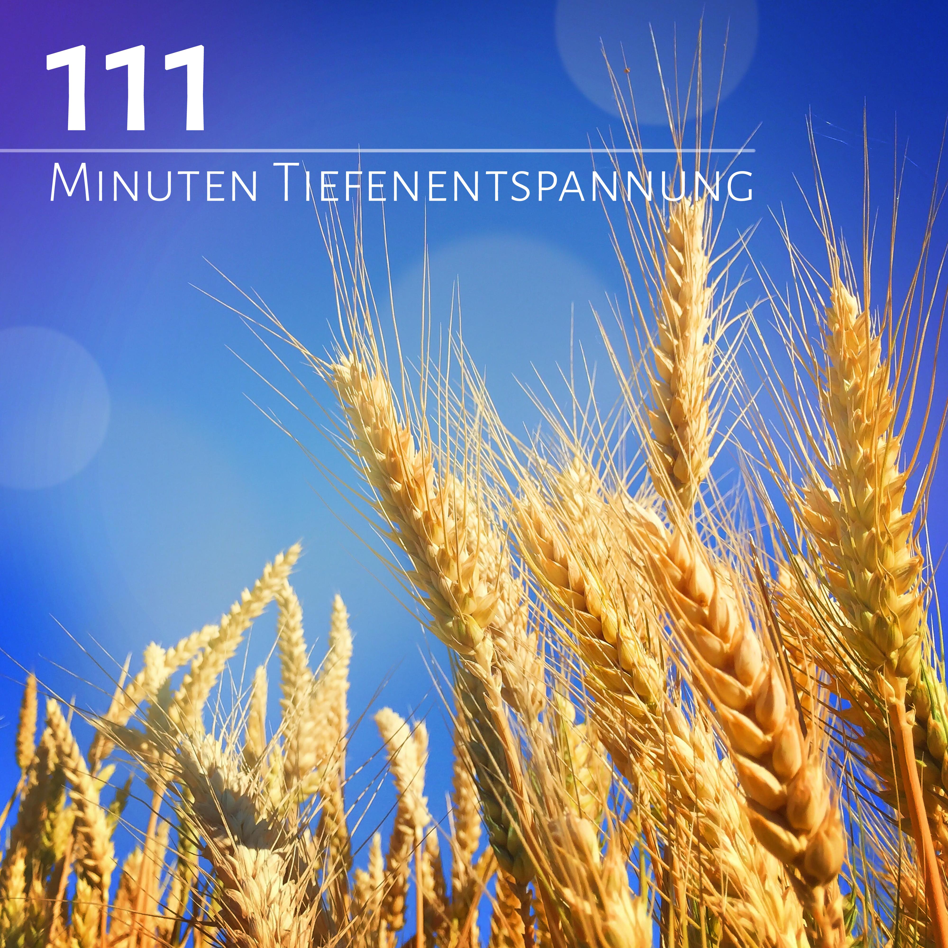 111 Minuten Tiefenentspannung – Autogenes Training, Yoga, Stressabbau, Erholsamer und Gesunder Schlaf, Entspannungsmusik