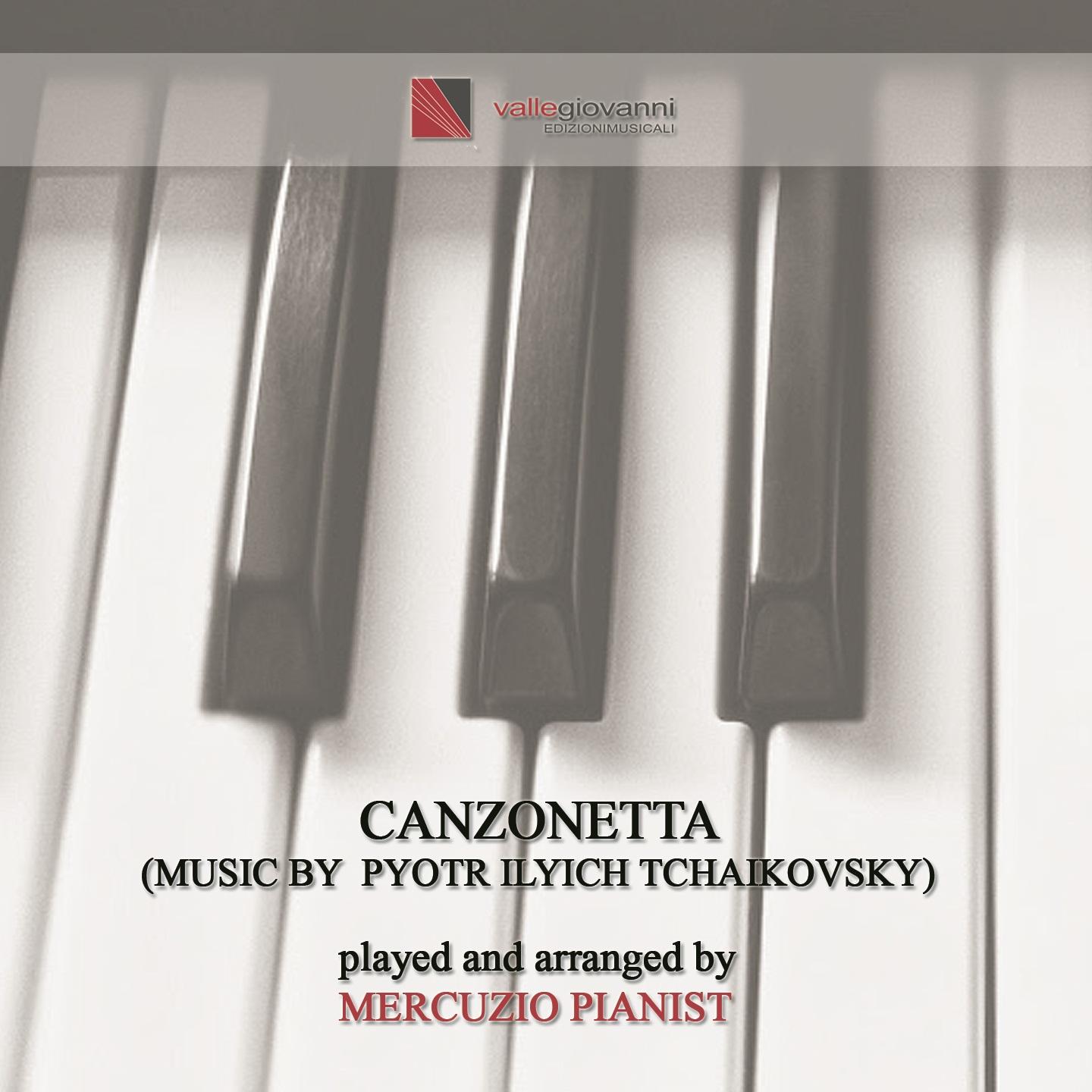 Violin Concerto in D Major, Op. 35: II. Canzonetta