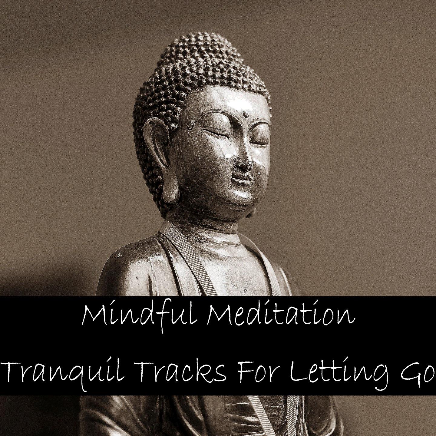 Mindful Meditation Tranquil Tracks For Letting Go